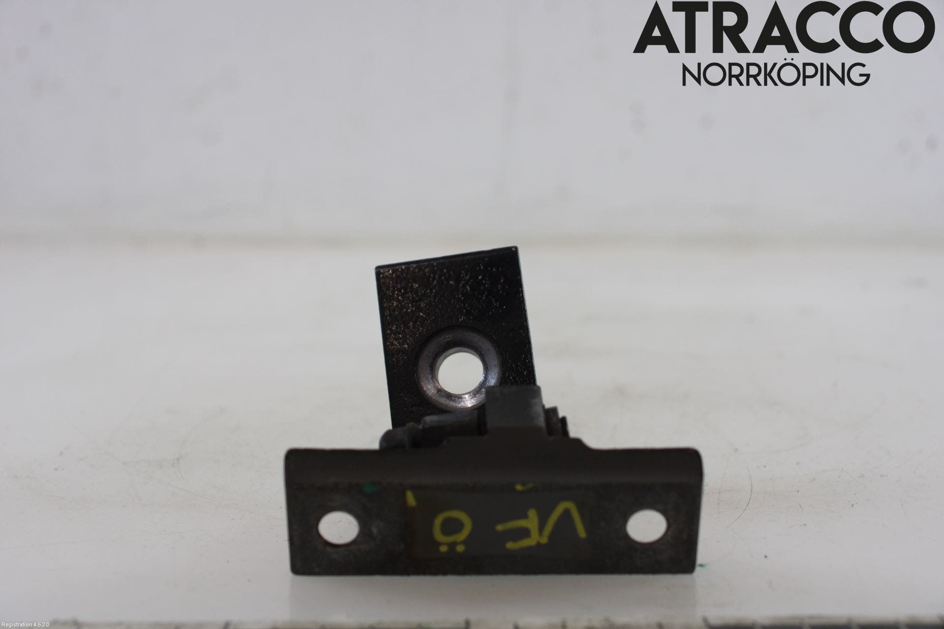 BMW X6 E71/E72 08-14 Dörrgångjärn