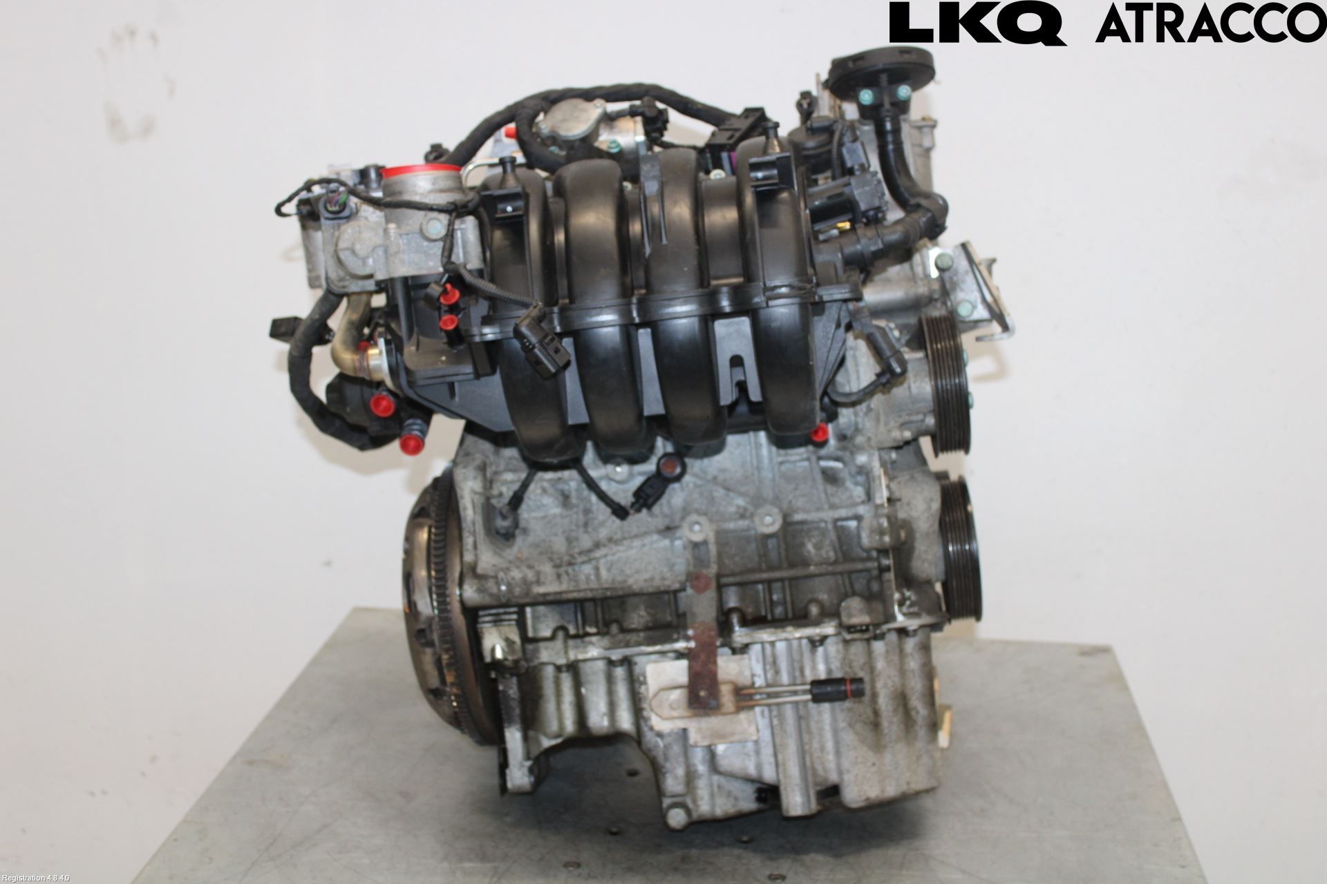 Volkswagen VW GOLF PLUS/CROSS GOLF 04-14 Motor Bensin