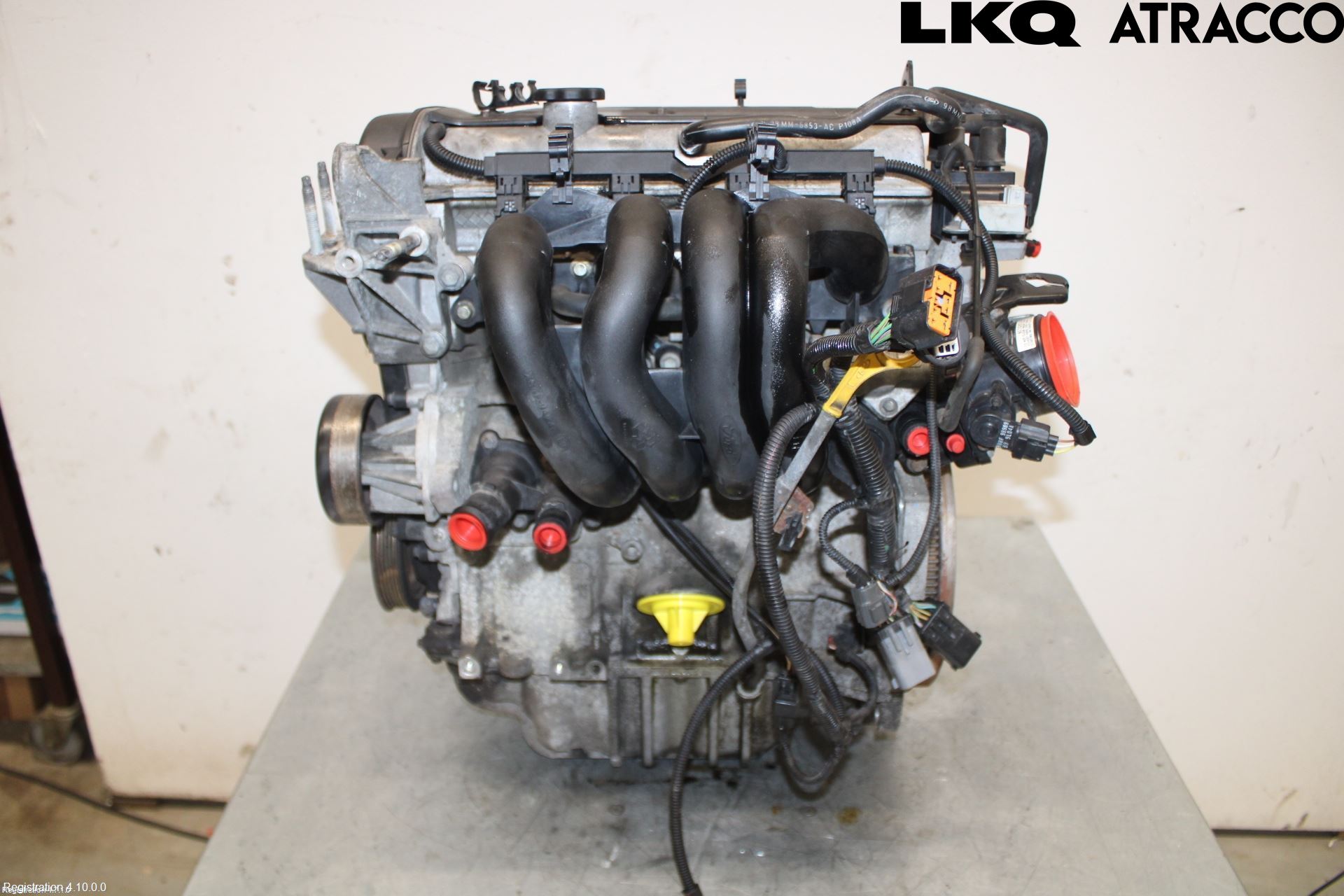 Ford FOCUS     99-04 Motor Bensin