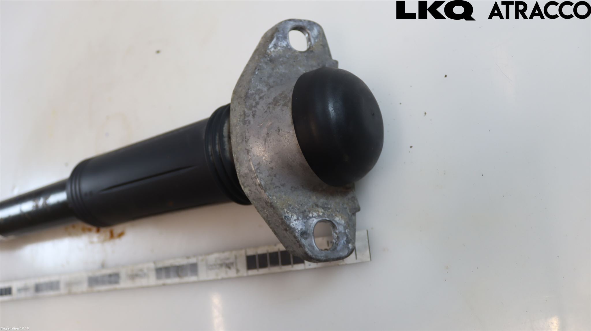 Toyota COROLLA 19- Stötdämpare Bak