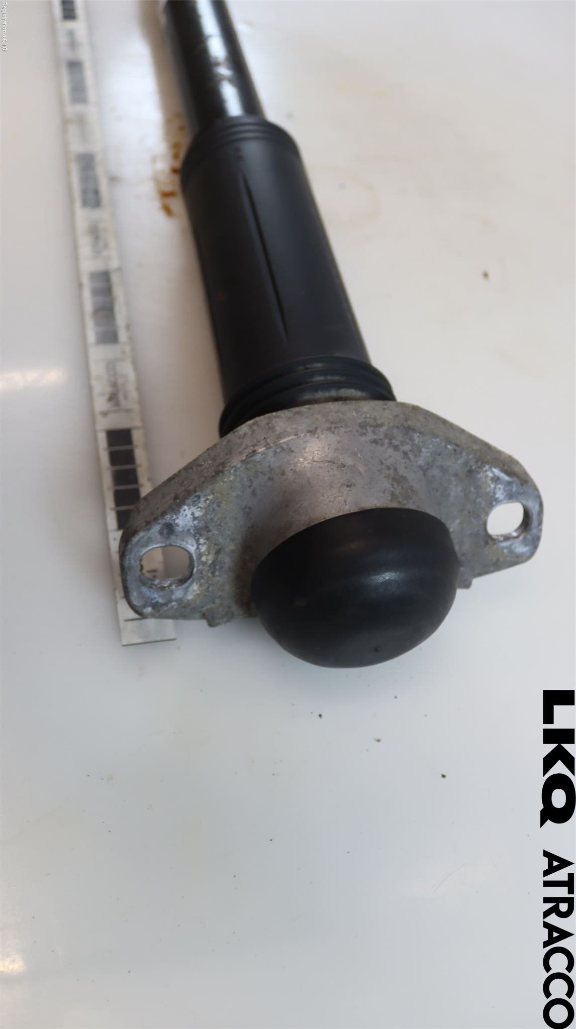 Toyota COROLLA 19- Stötdämpare Bak