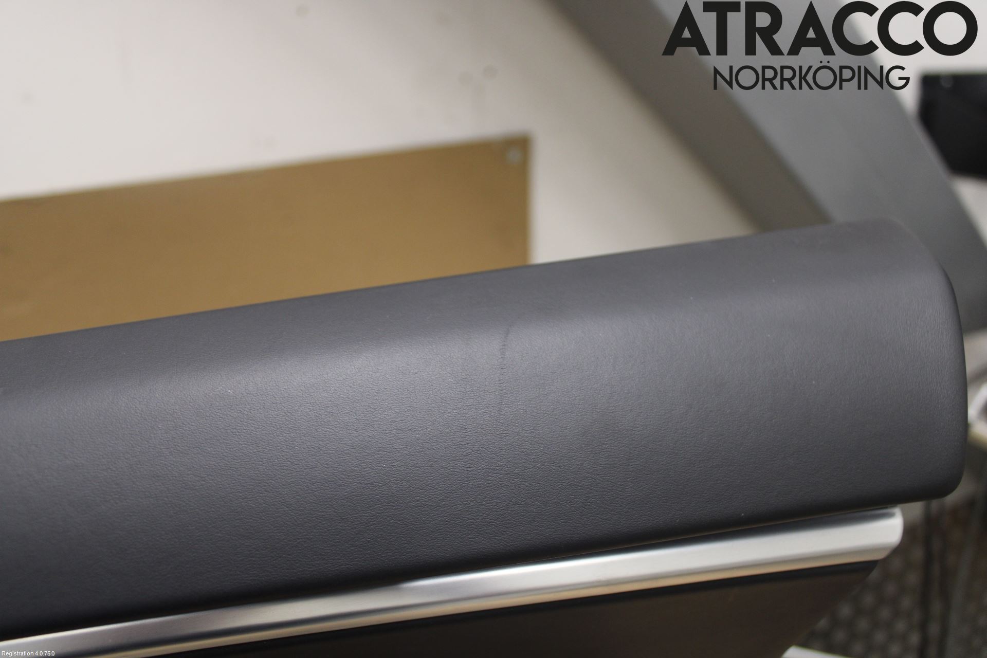 Tesla MODEL S 13- Dörrklädsel Hö