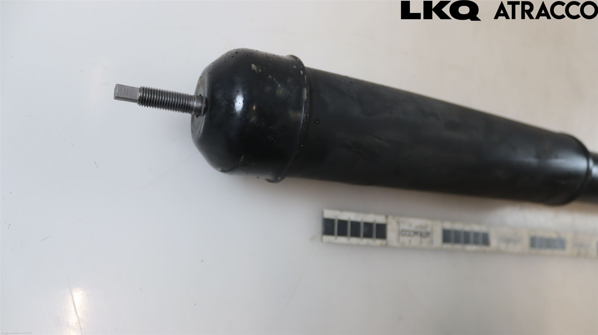 Nissan LEAF 18- Stötdämpare Bak