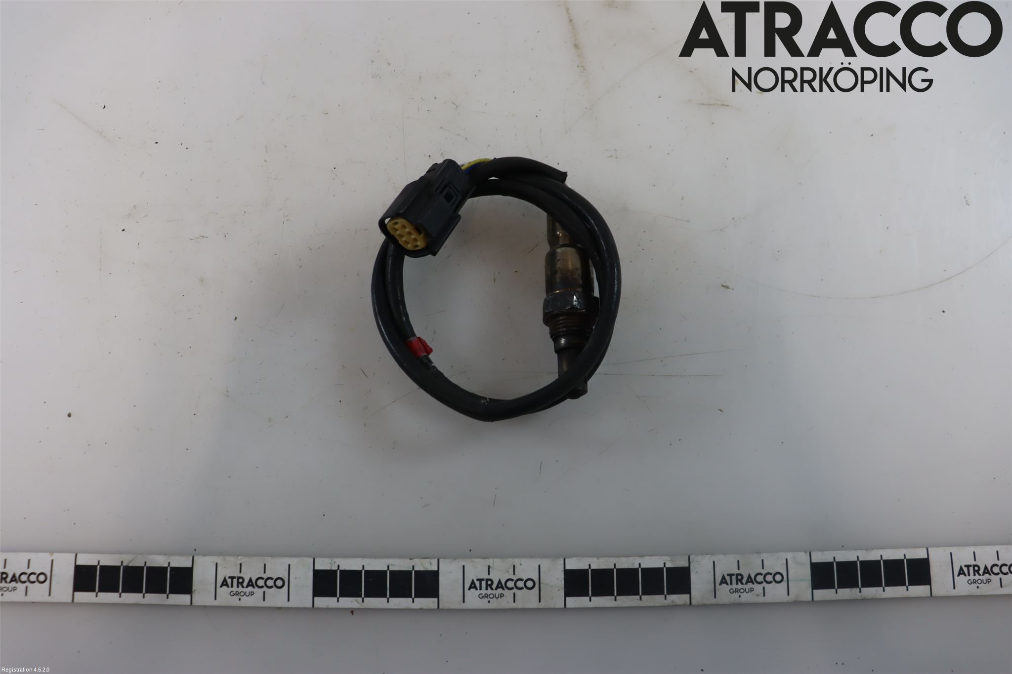 Ford FOCUS 15-18 Injlambdasond