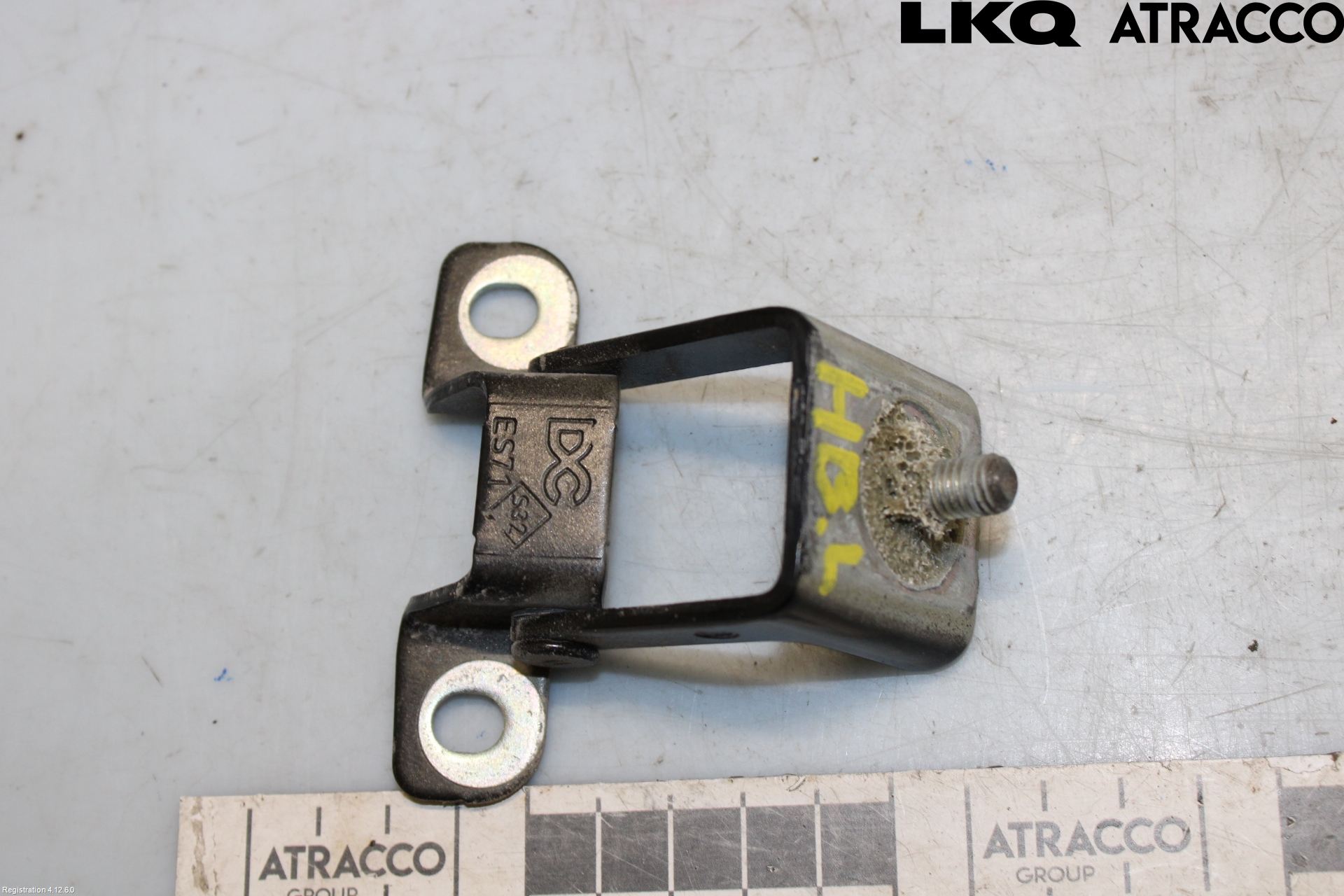 Renault ZOE/E-TECH 13- Bakluckegångjärn Hö