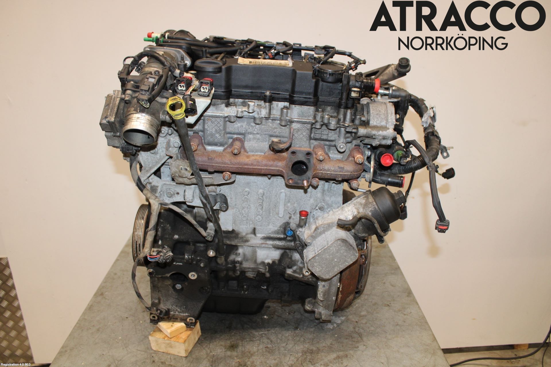 Ford FOCUS 08-11 Motor Diesel