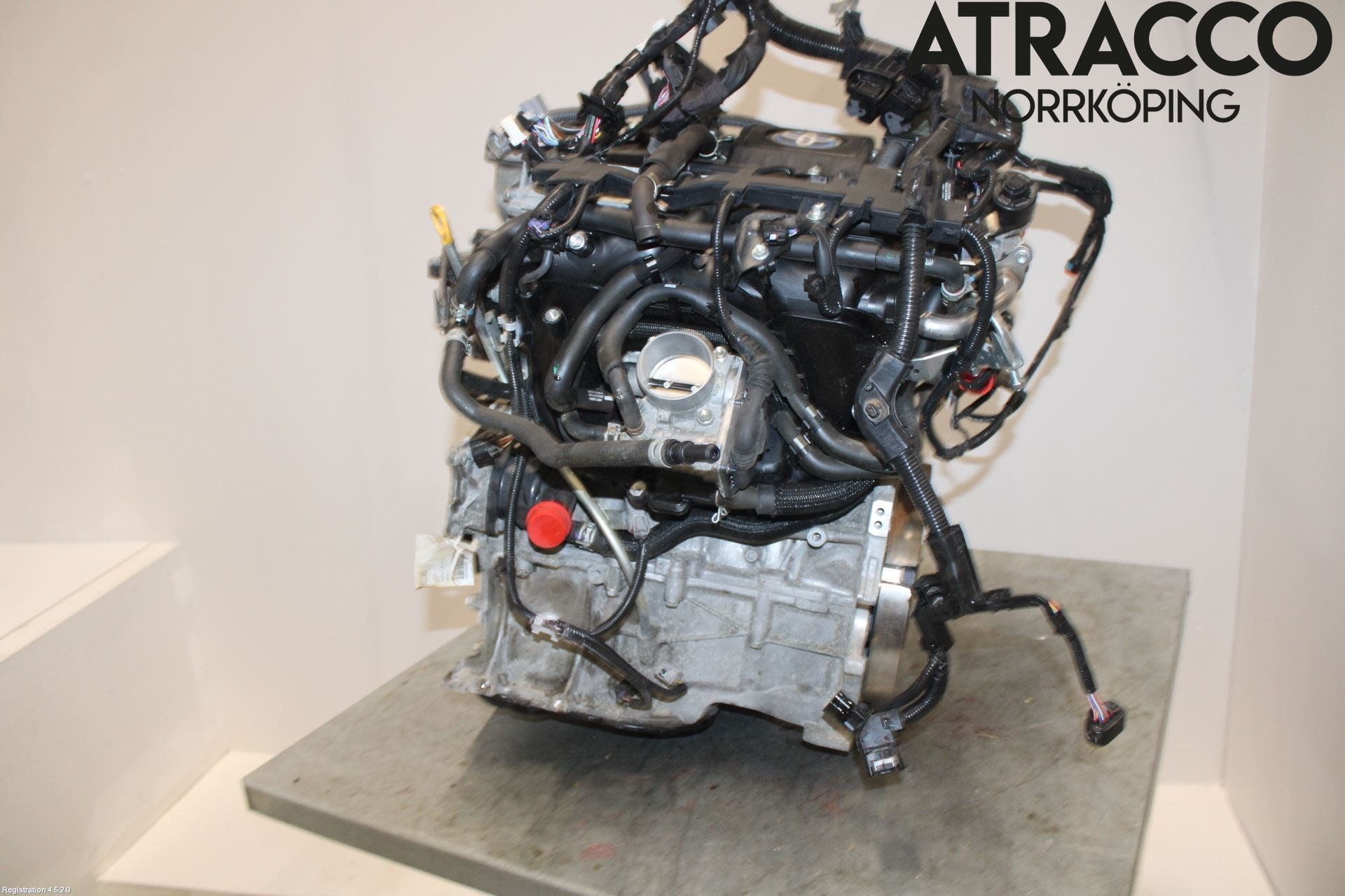 Toyota C-HR 16-23 Motor Bensin