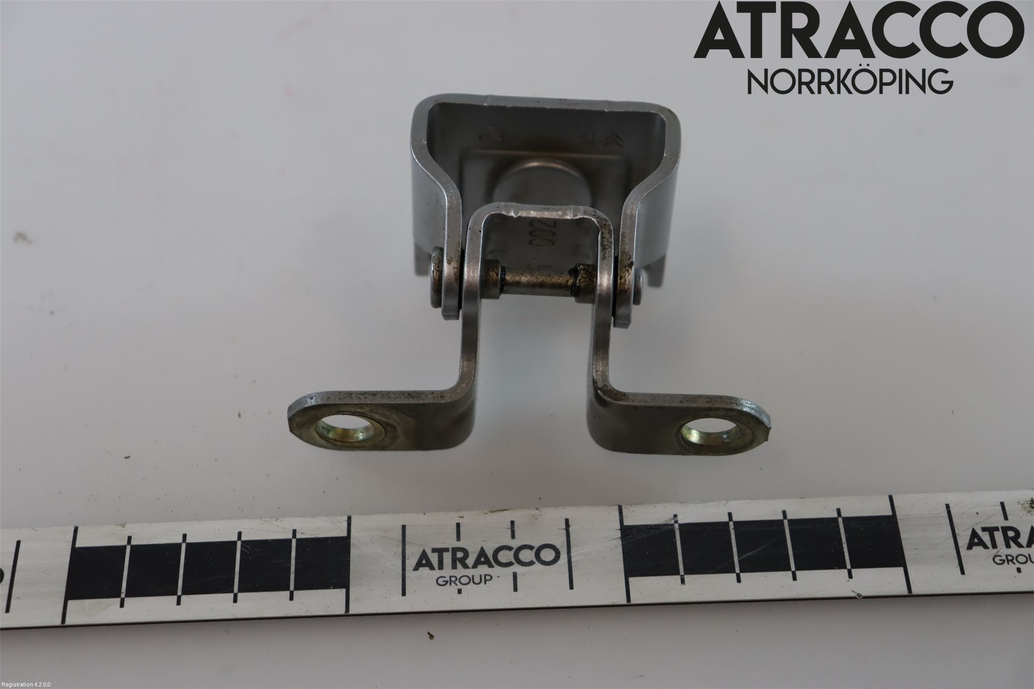 Citroen DS5 Bakluckegångjärn Vä