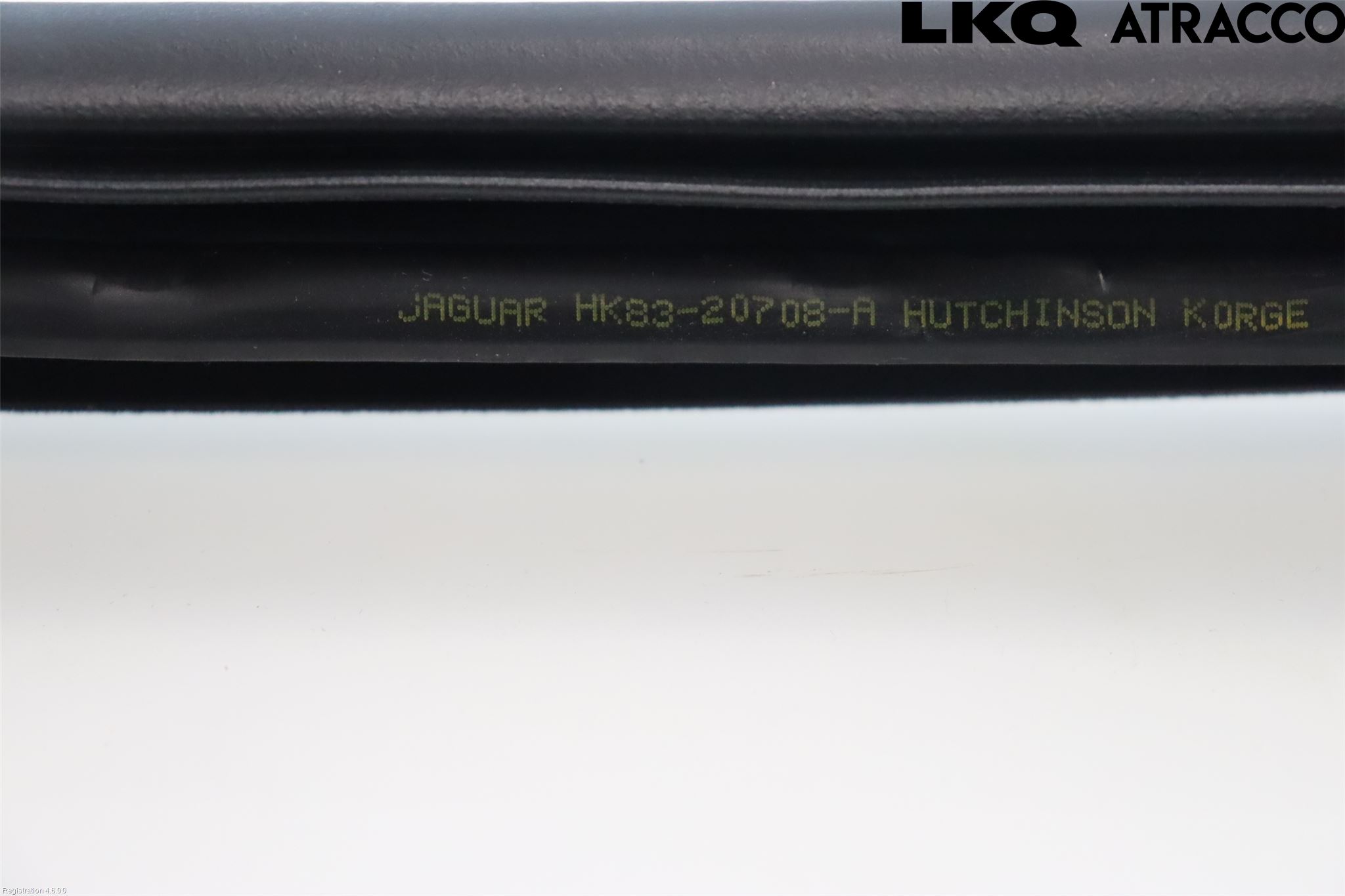 Jaguar F-PACE Dörr Gummilist