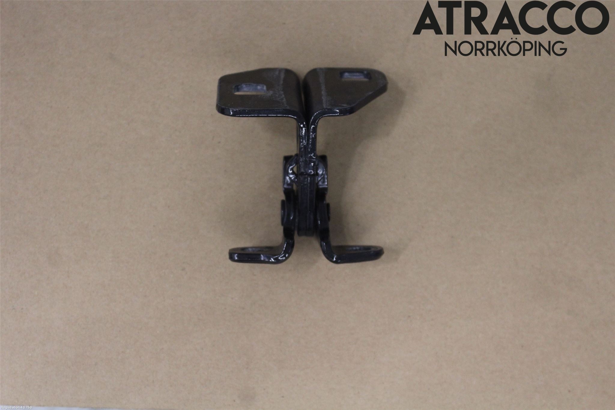 Tesla MODEL S 13- Dörrgångjärn