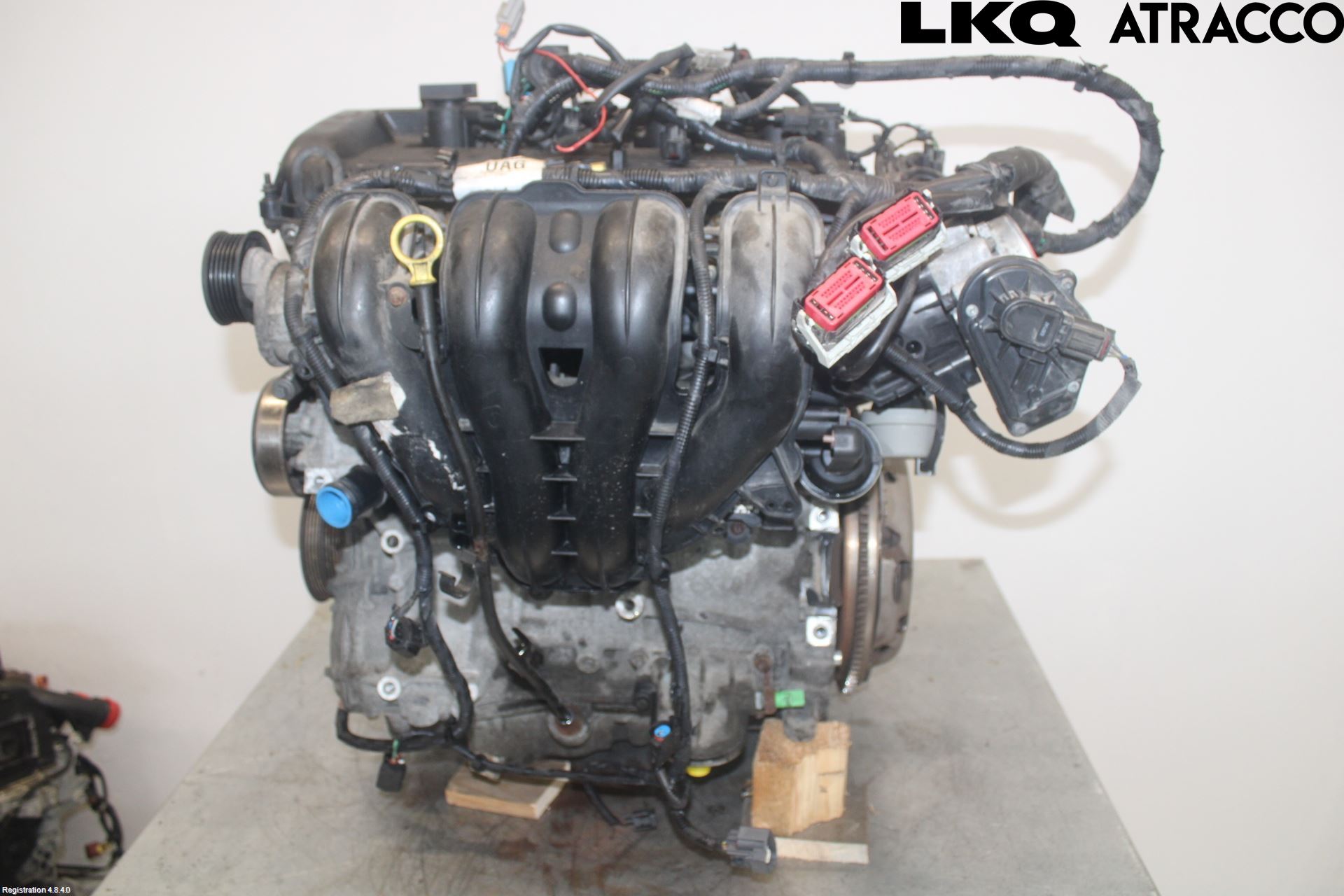 Ford FOCUS     04-07 Motor Bensin