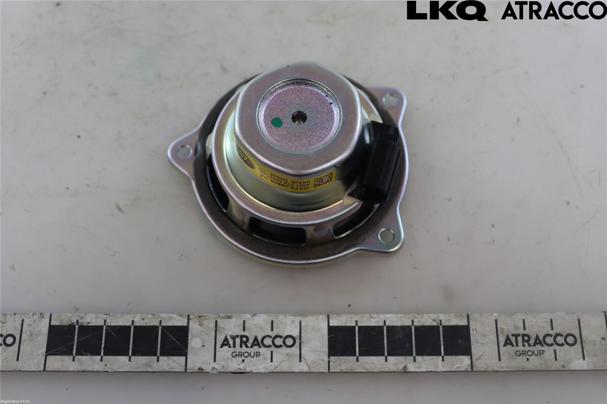 Jaguar I-PACE 18- Högtalare