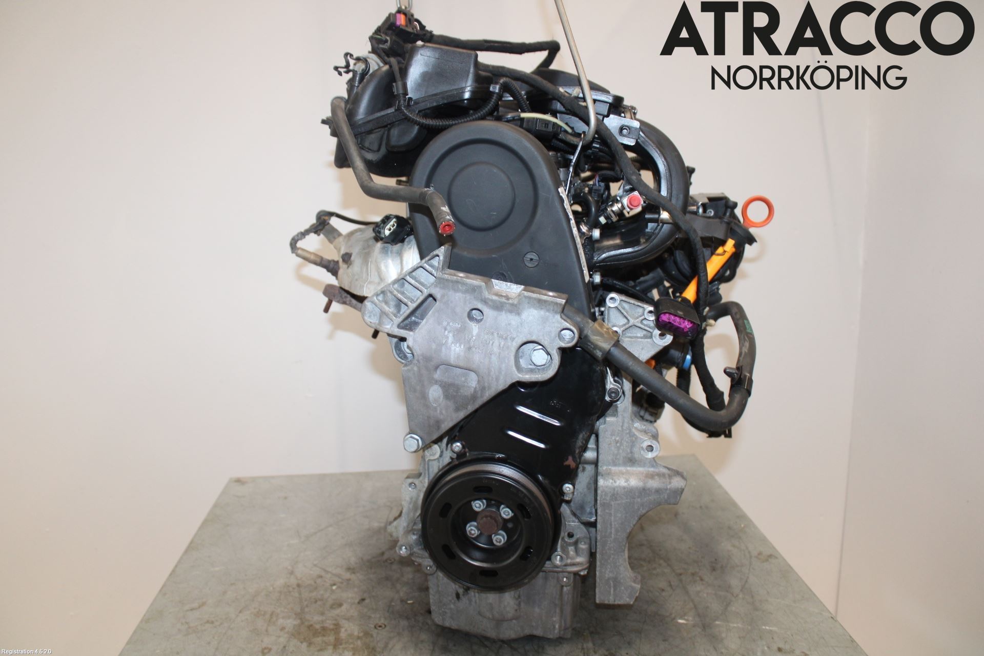Volkswagen VW GOLF PLUS/CROSS GOLF 04-14 Motor Bensin