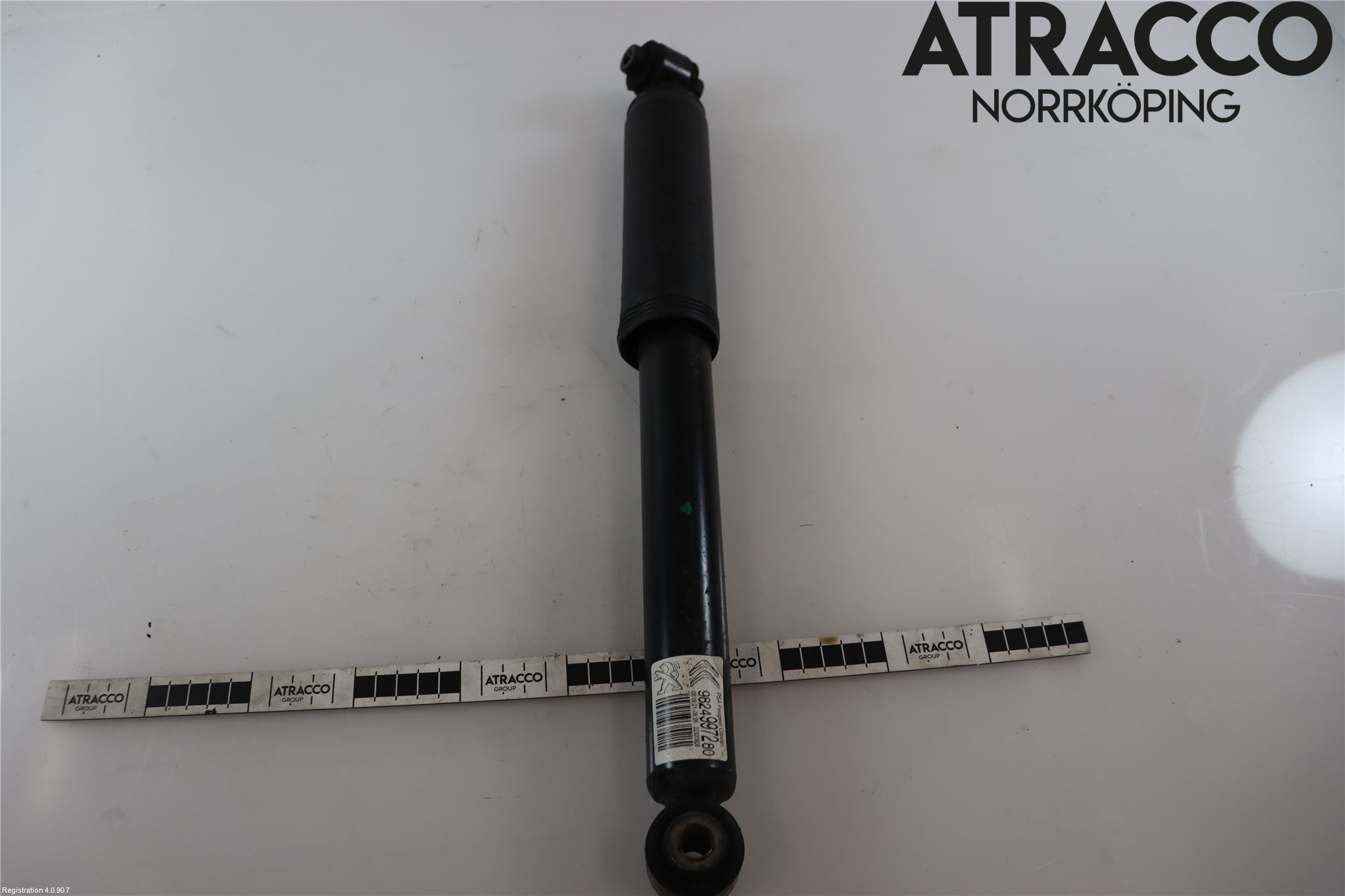 Citroen COTROEN C3 17-24 Stötdämpare Bak