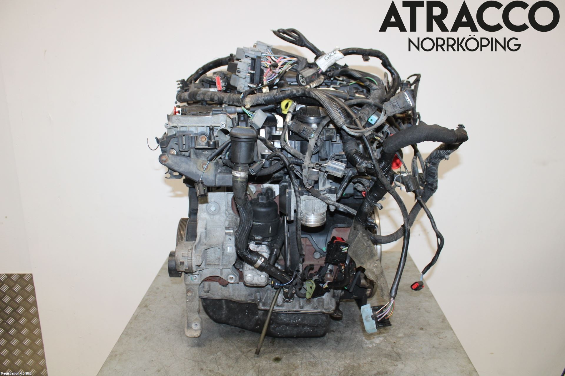 Ford S-MAX 06-15 Motor Diesel