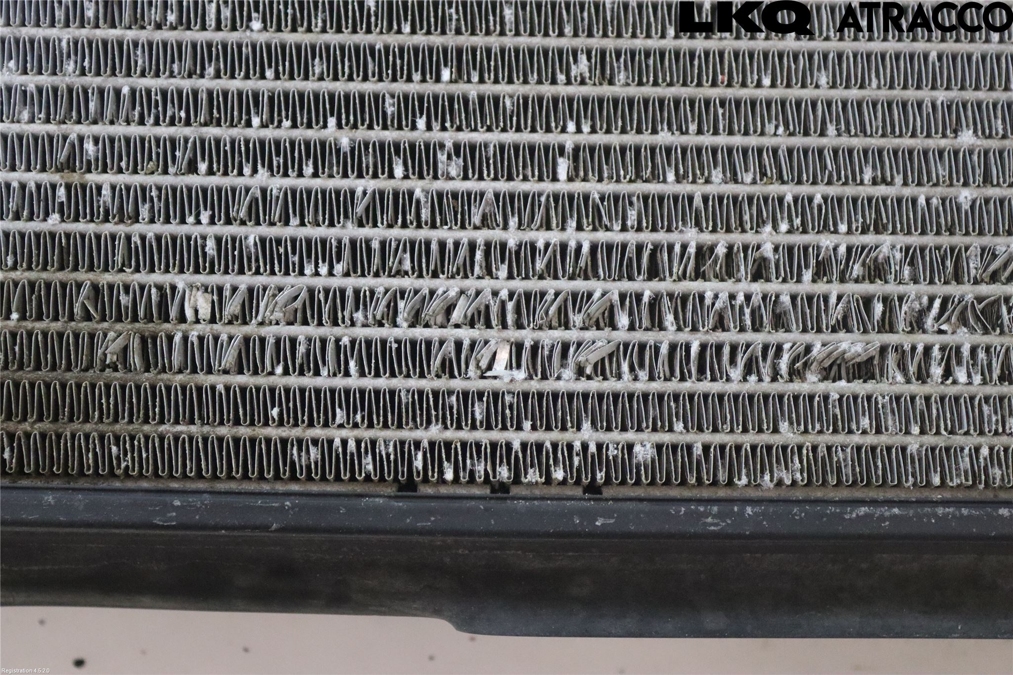 Volkswagen VW GOLF / E-GOLF VII 13-20 Kylare Man