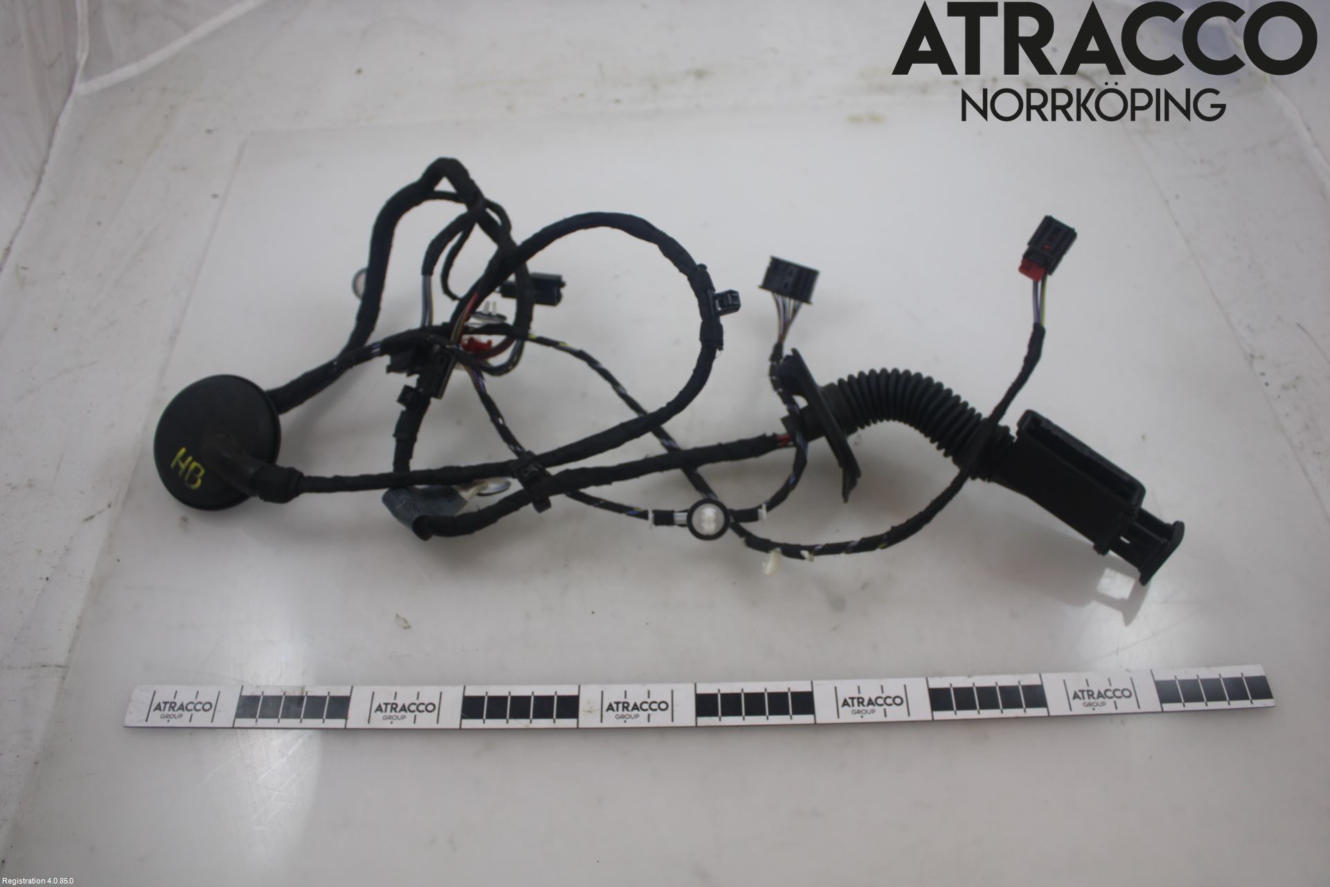 Audi A3/S3 8Y 21- Kabelhärva