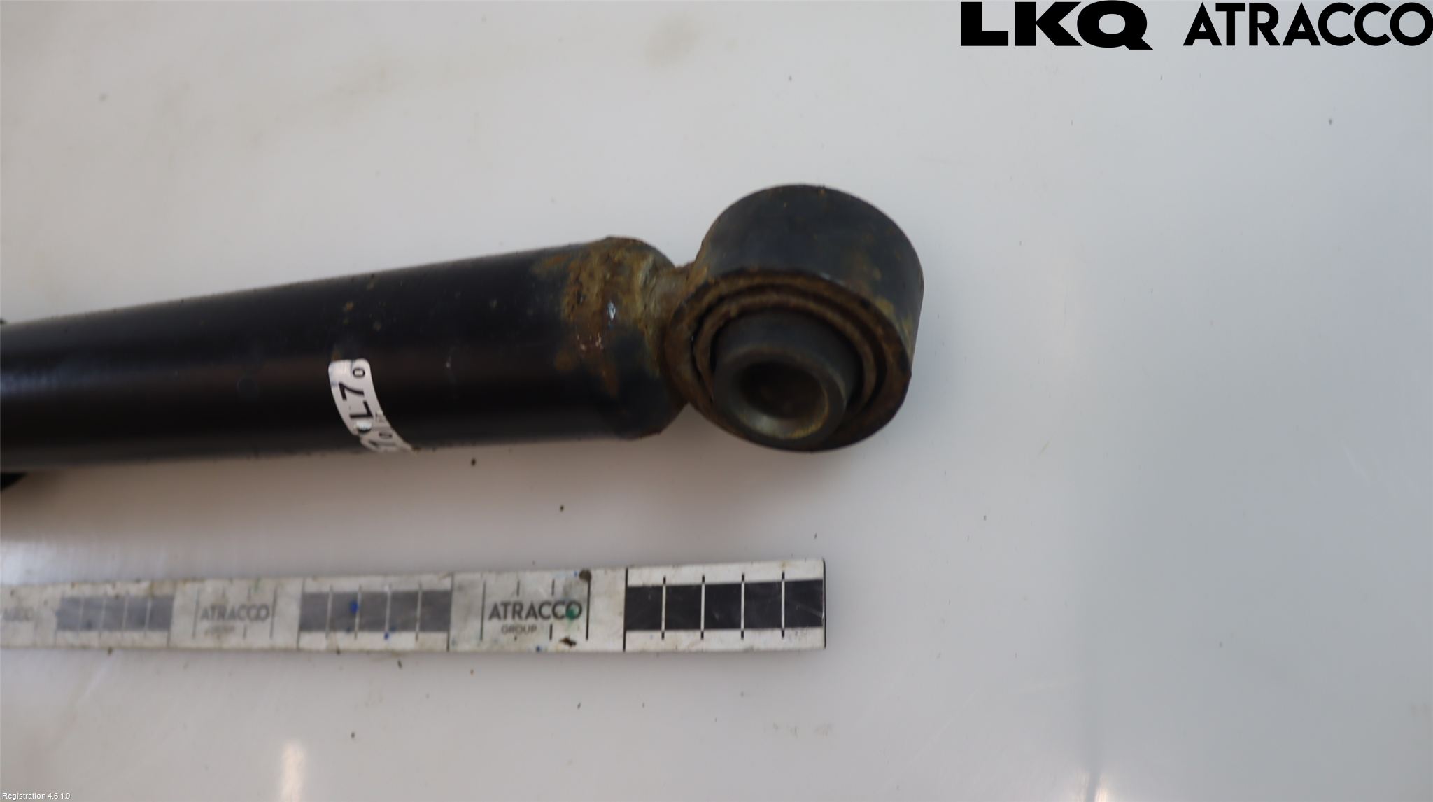 Toyota COROLLA 19- Stötdämpare Bak