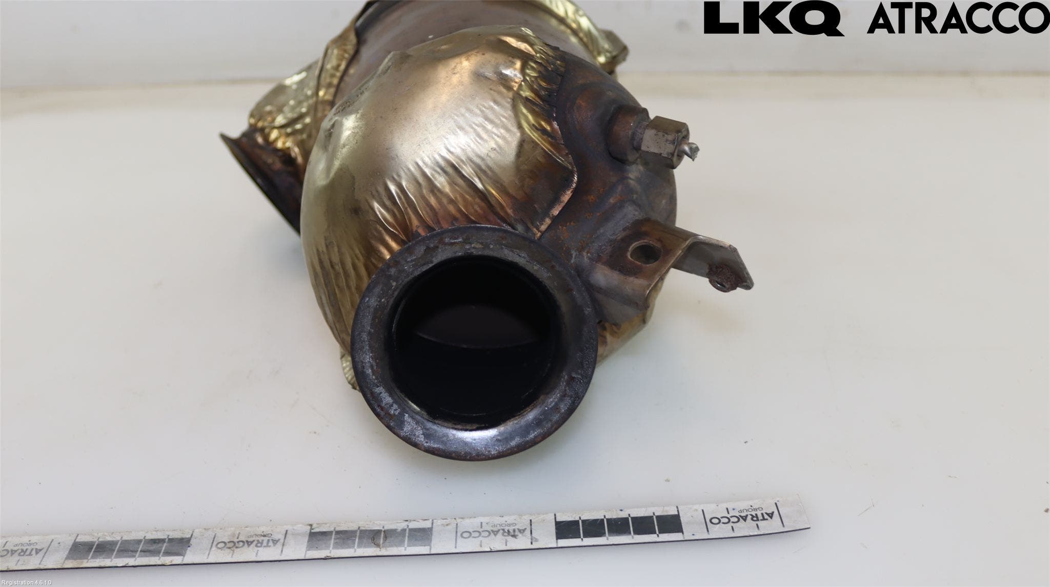 Volkswagen VW TRANSP/CARAVELLE (T6) 16-22 Katalysator