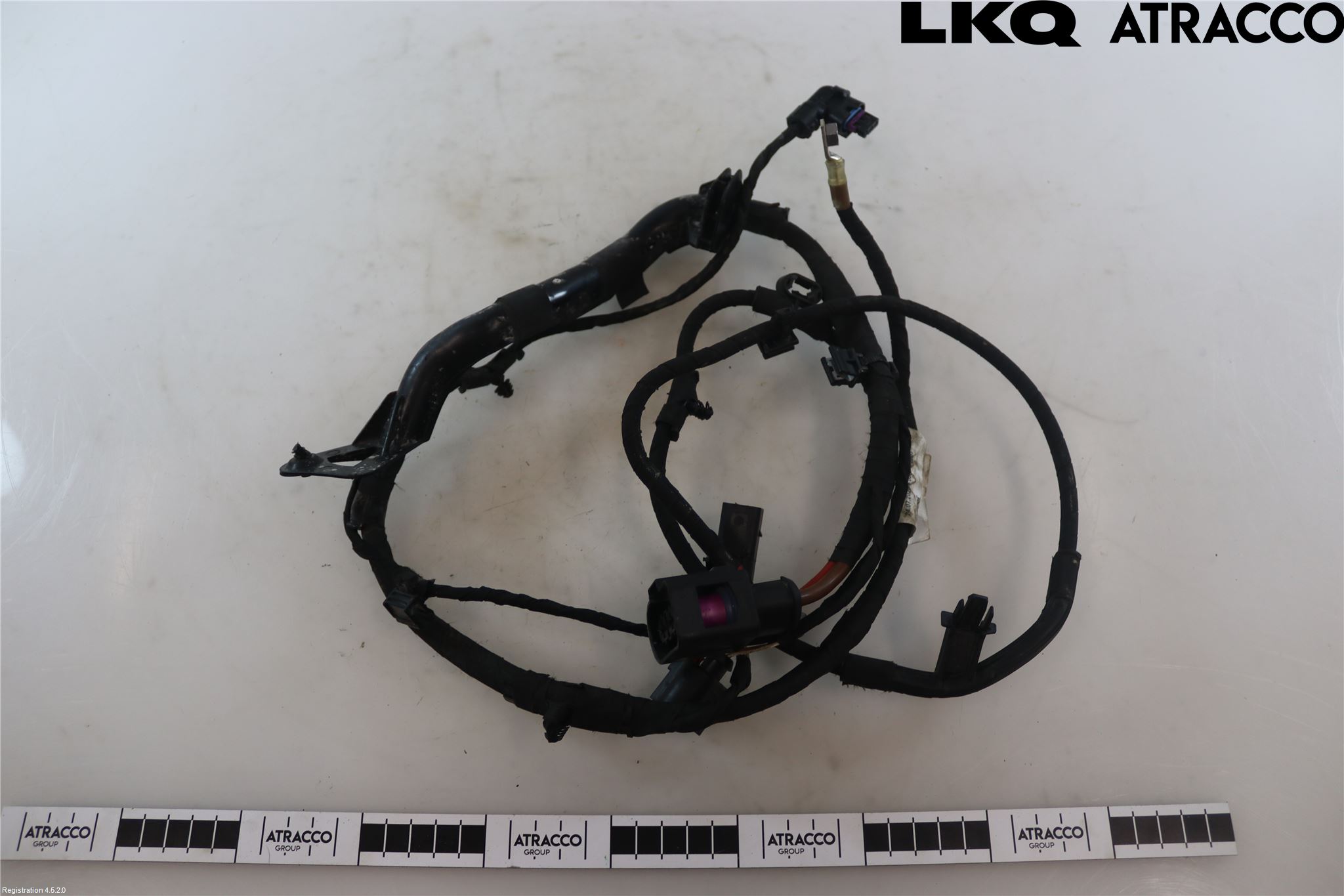 Volkswagen VW GOLF / E-GOLF VIII 20- Kabelhärva