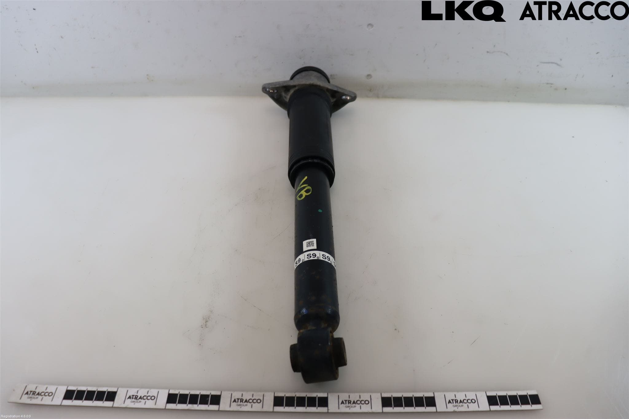 Toyota COROLLA 19- Stötdämpare Bak