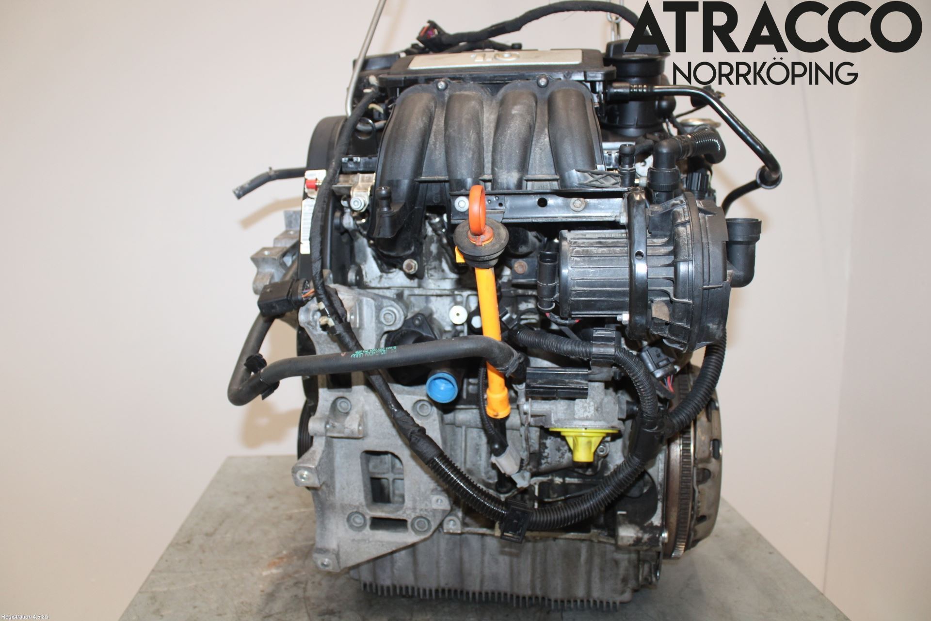 Volkswagen VW GOLF PLUS/CROSS GOLF 04-14 Motor Bensin