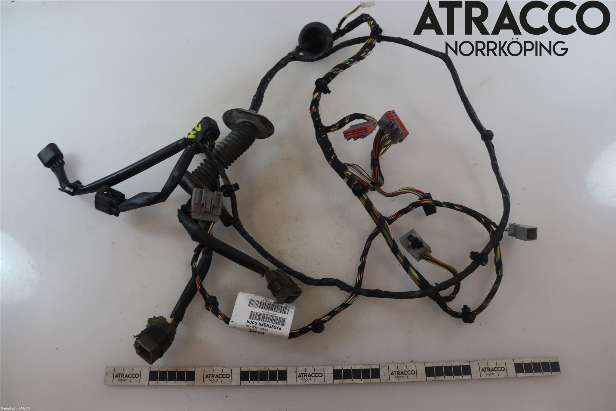 Jaguar XK/XKR 06-14 Kabelhärva