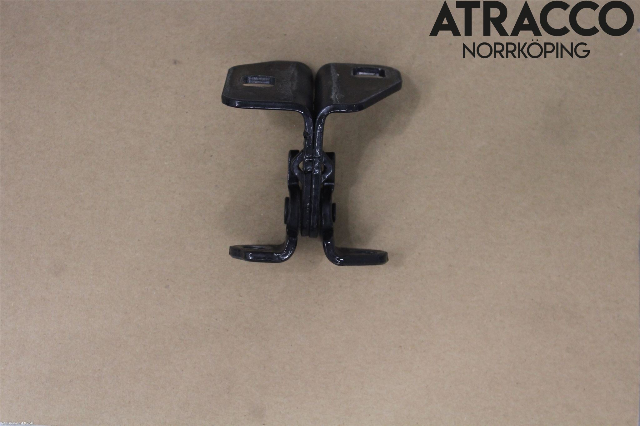 Tesla MODEL S 13- Dörrgångjärn