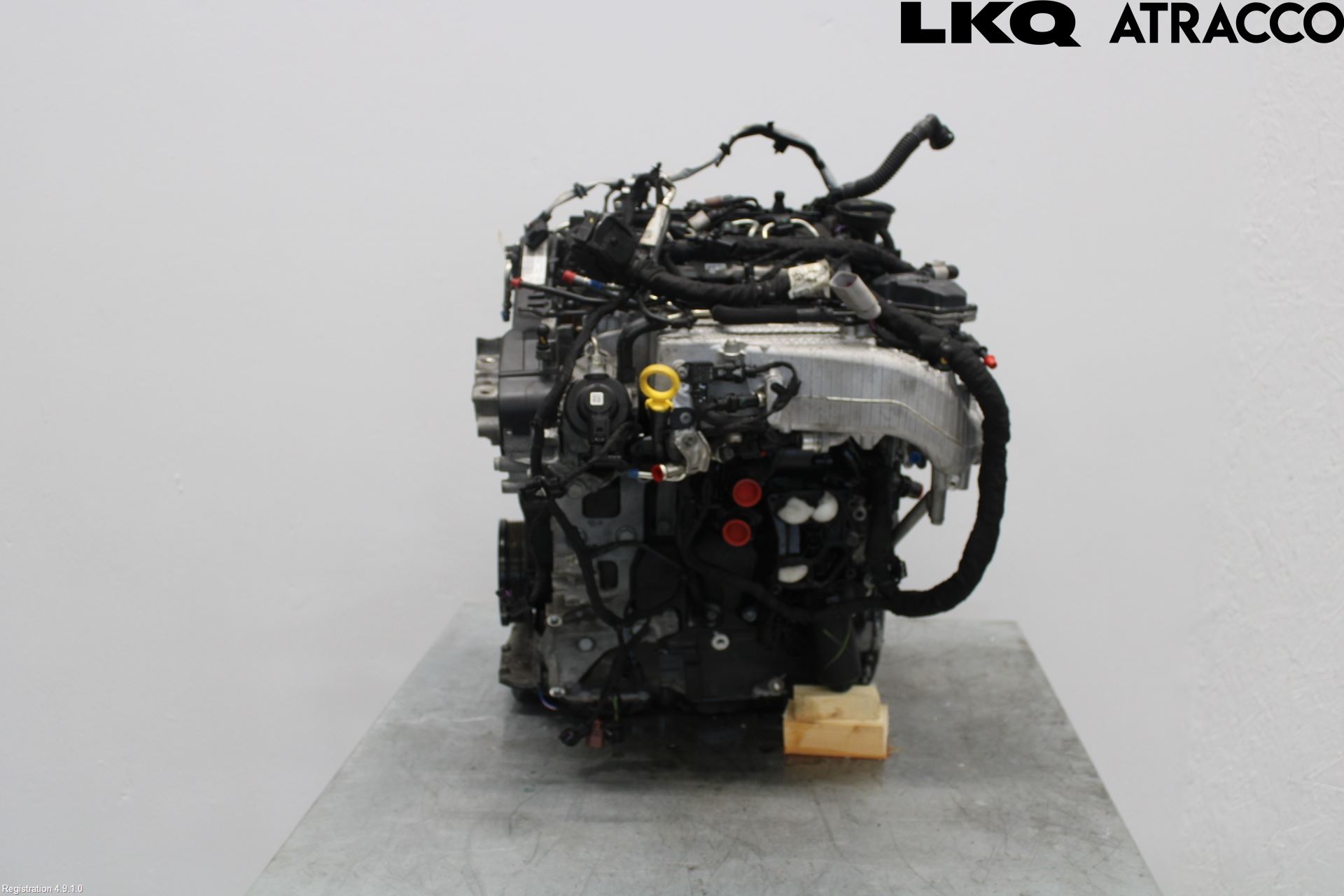 Volkswagen VW PASSAT 20-24 Motor Diesel