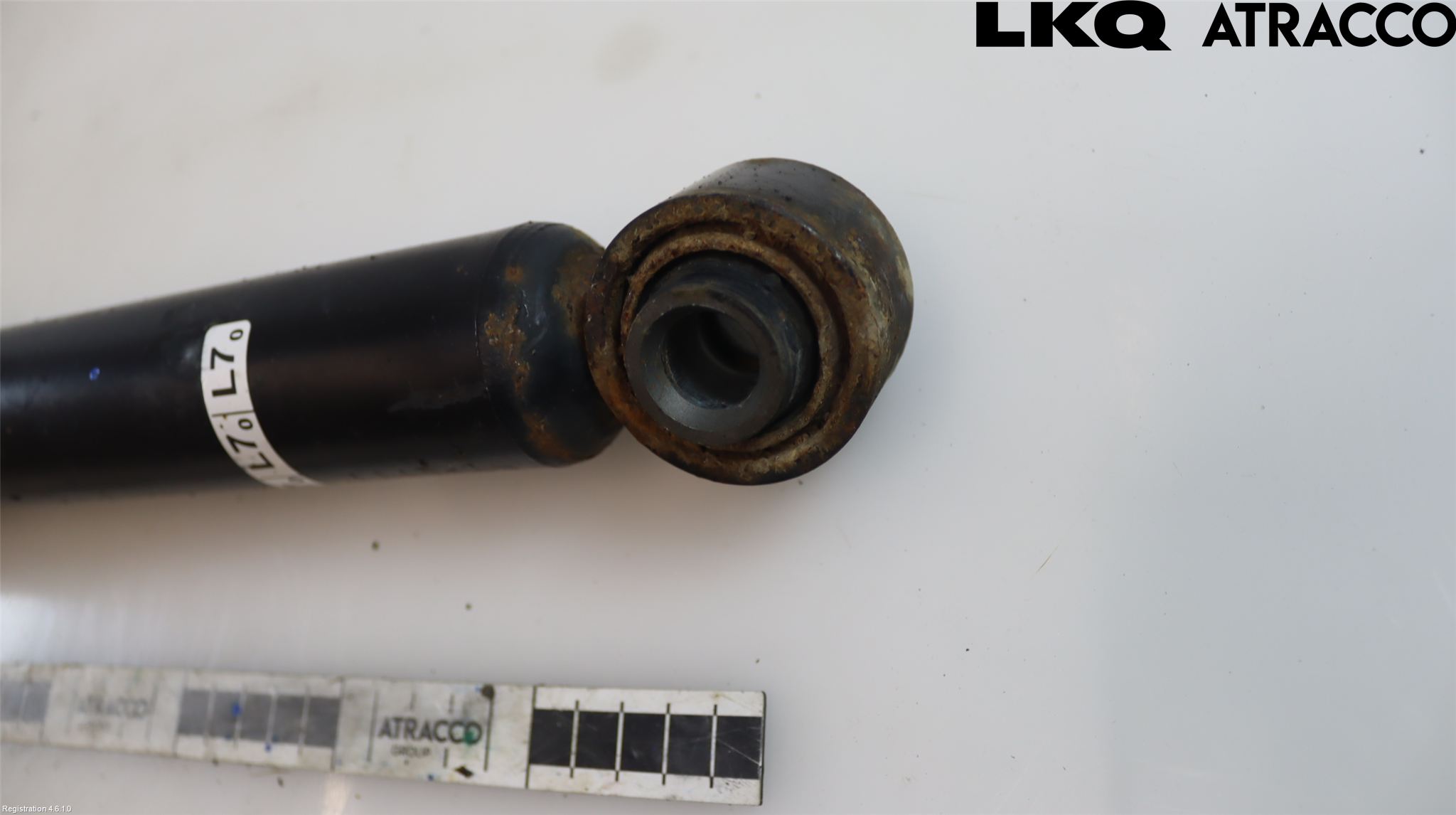 Toyota COROLLA 19- Stötdämpare Bak