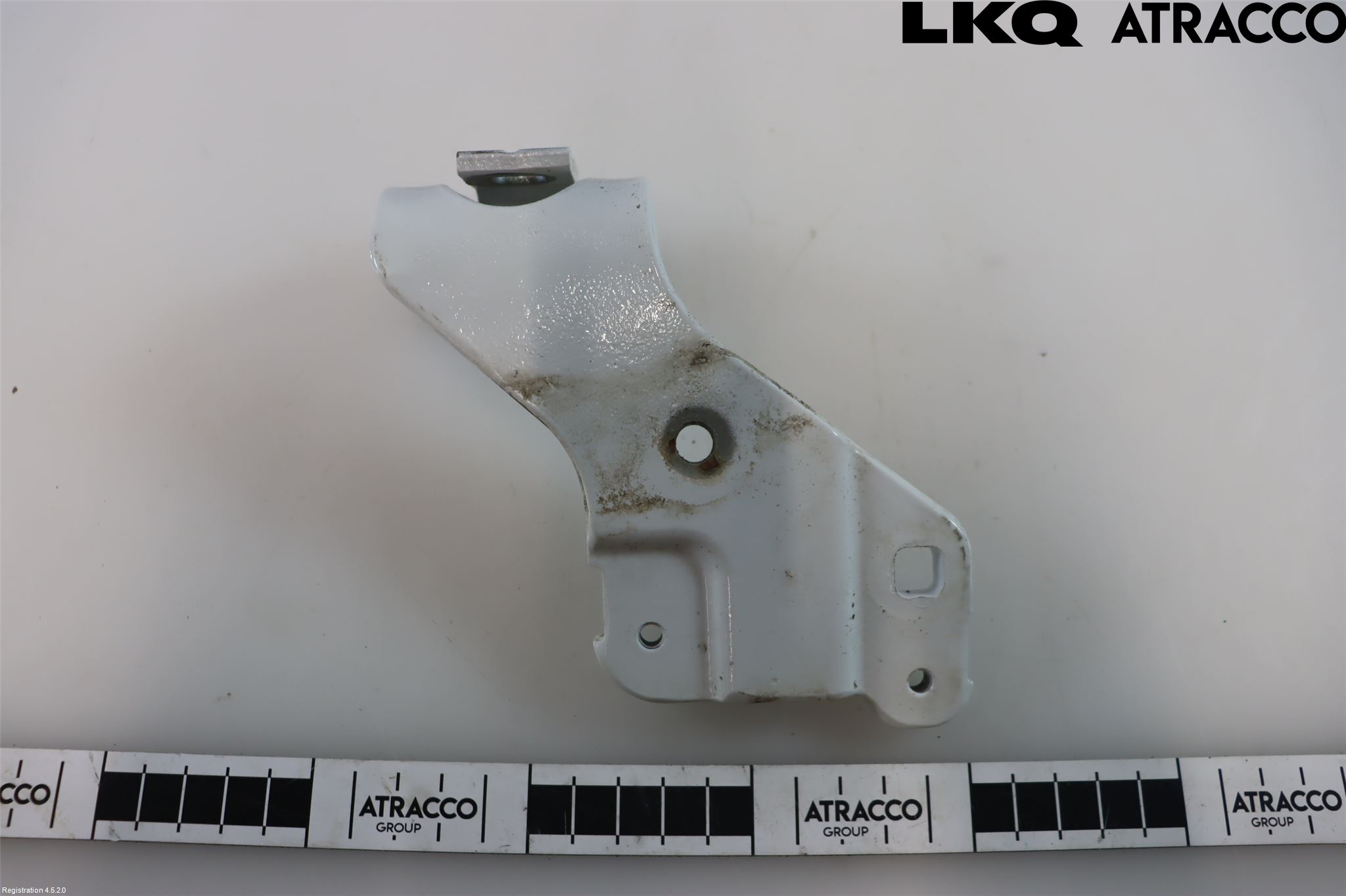 Renault MEGANE IV 16-23 Bakluckegångjärn Vä