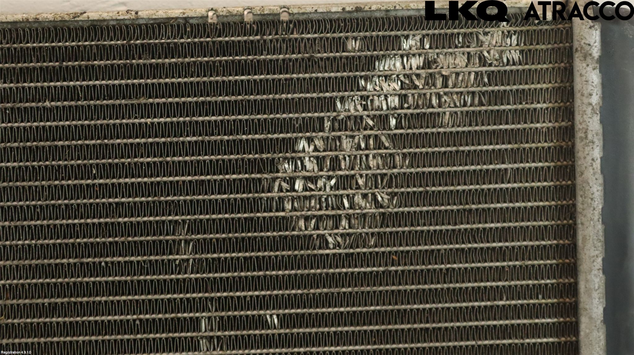 Volkswagen VW PASSAT 05-11 Kylare Man