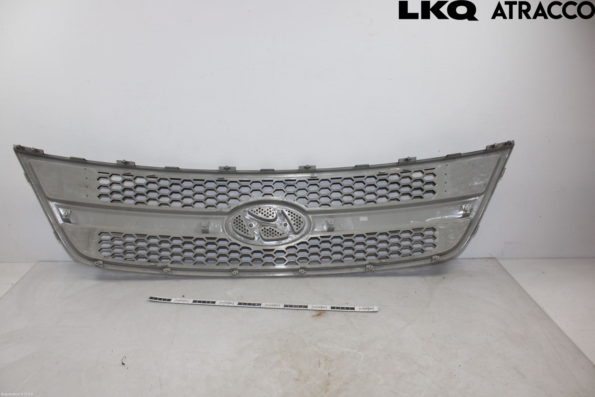Hyundai H-1/STAREX 08-21 Grill Komp