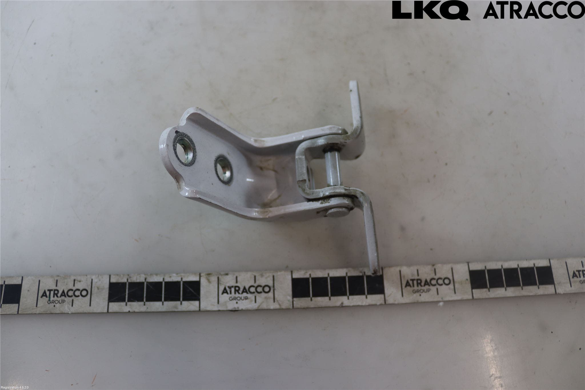 Hyundai IONIQ AE 17-22 Dörrgångjärn