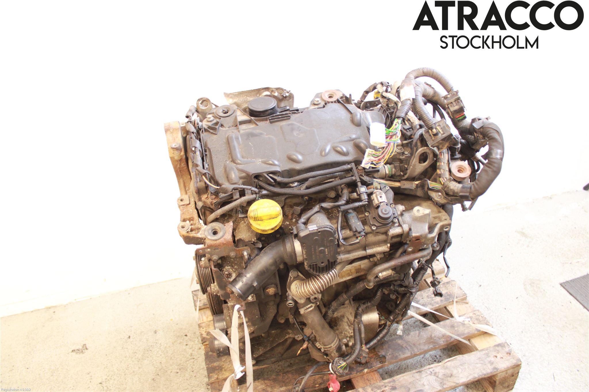 Nissan QASHQAI   07-10 Motor Diesel