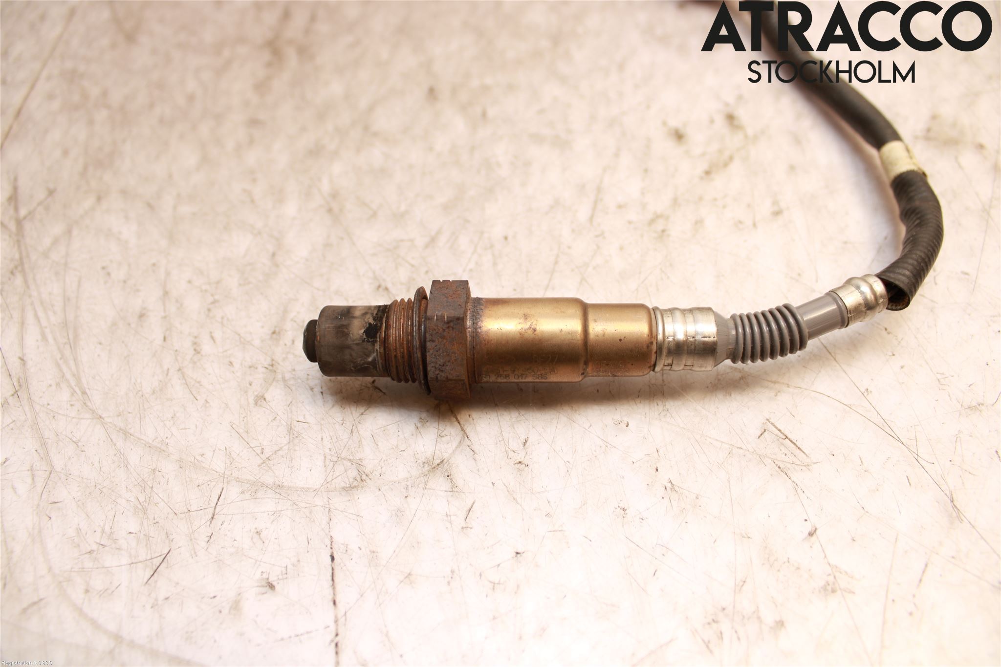 Ford FOCUS 19- Injlambdasond