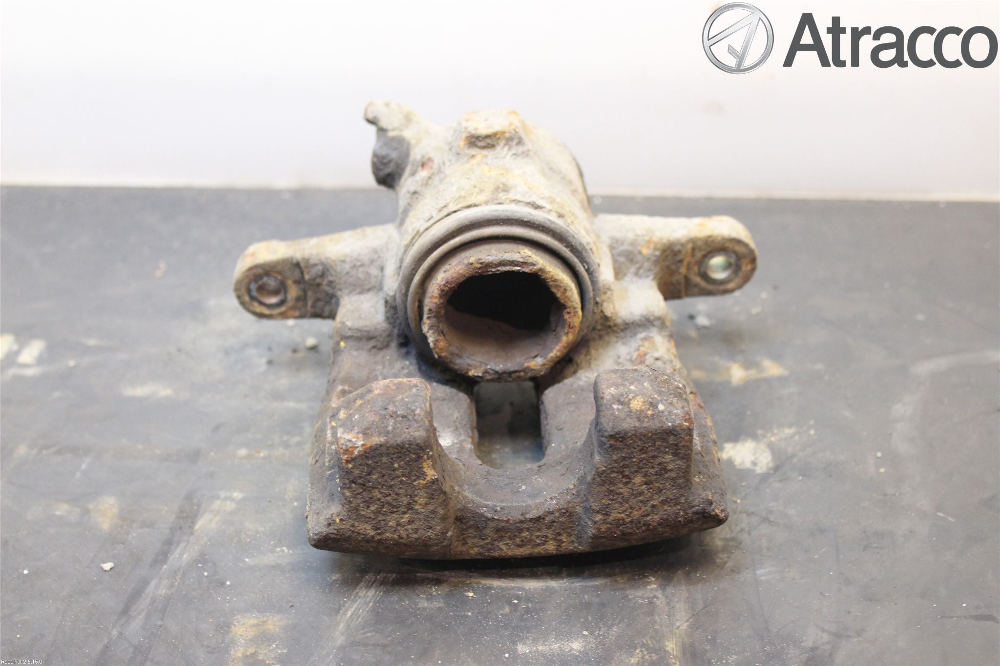 Landrover RANGE ROVER SPORT (L320) 05-09 Bromsok Bak Vänster