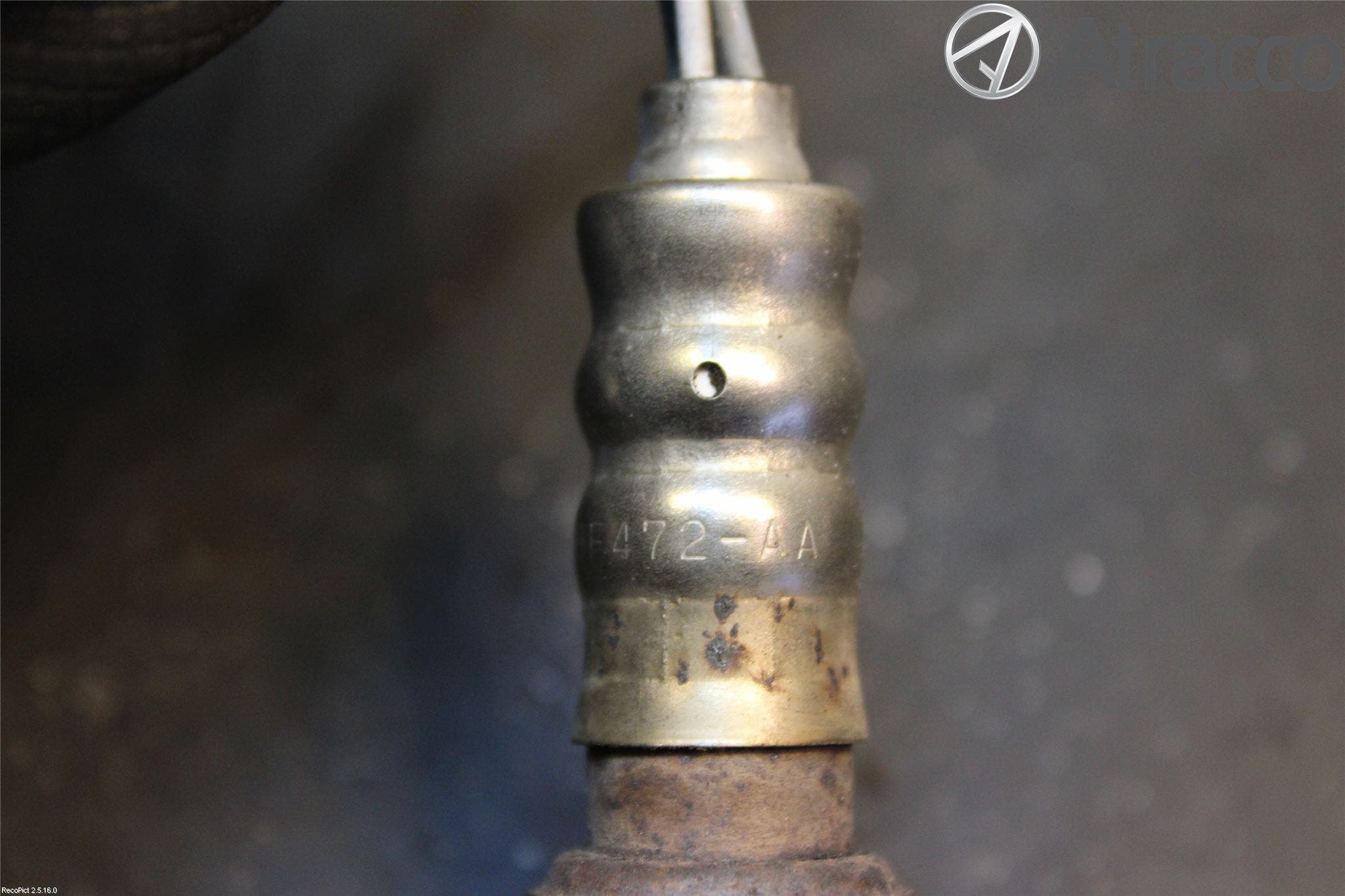 Ford FIESTA 09-12 Injlambdasond