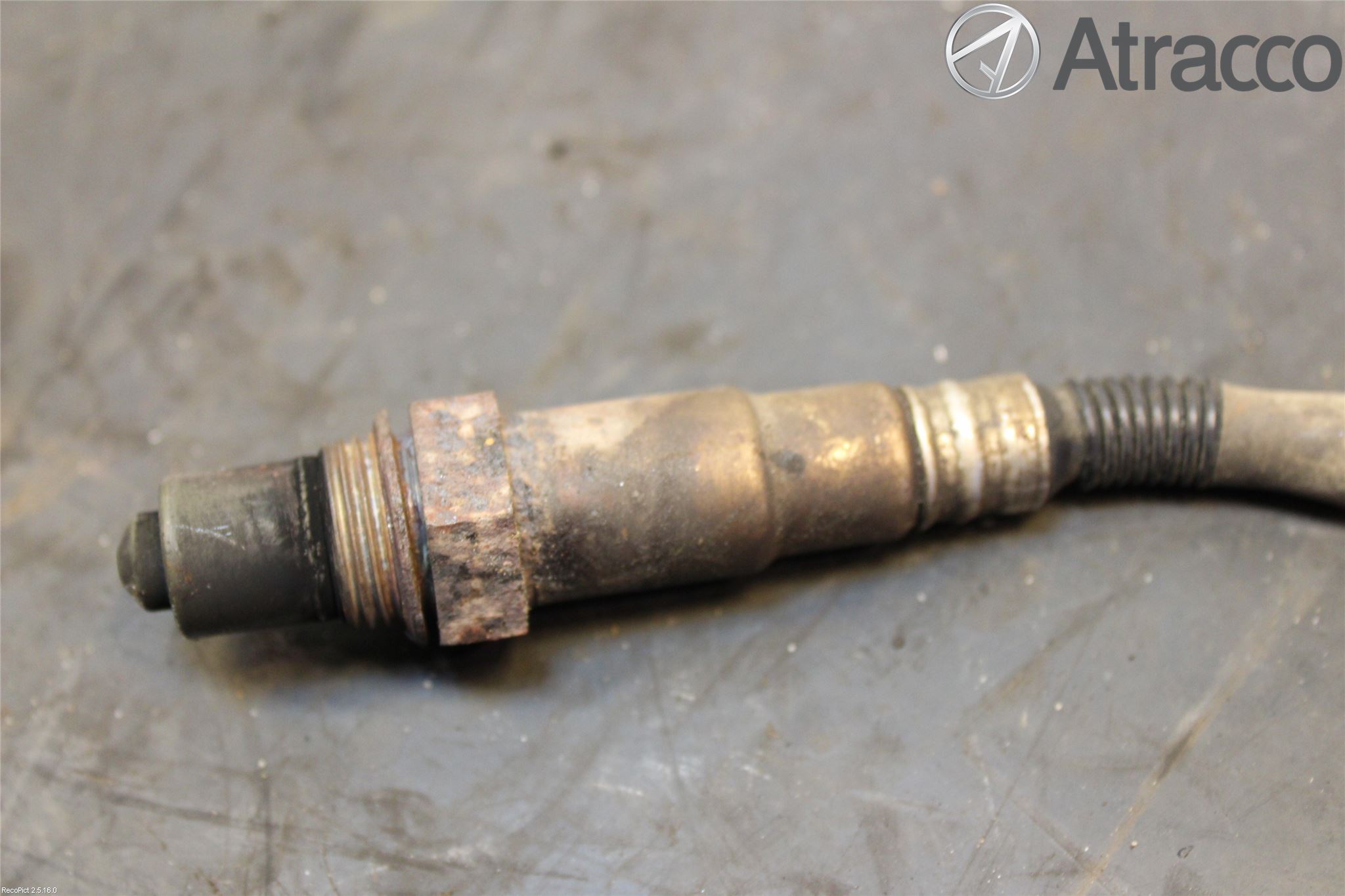 Ford FOCUS     04-07 Injlambdasond