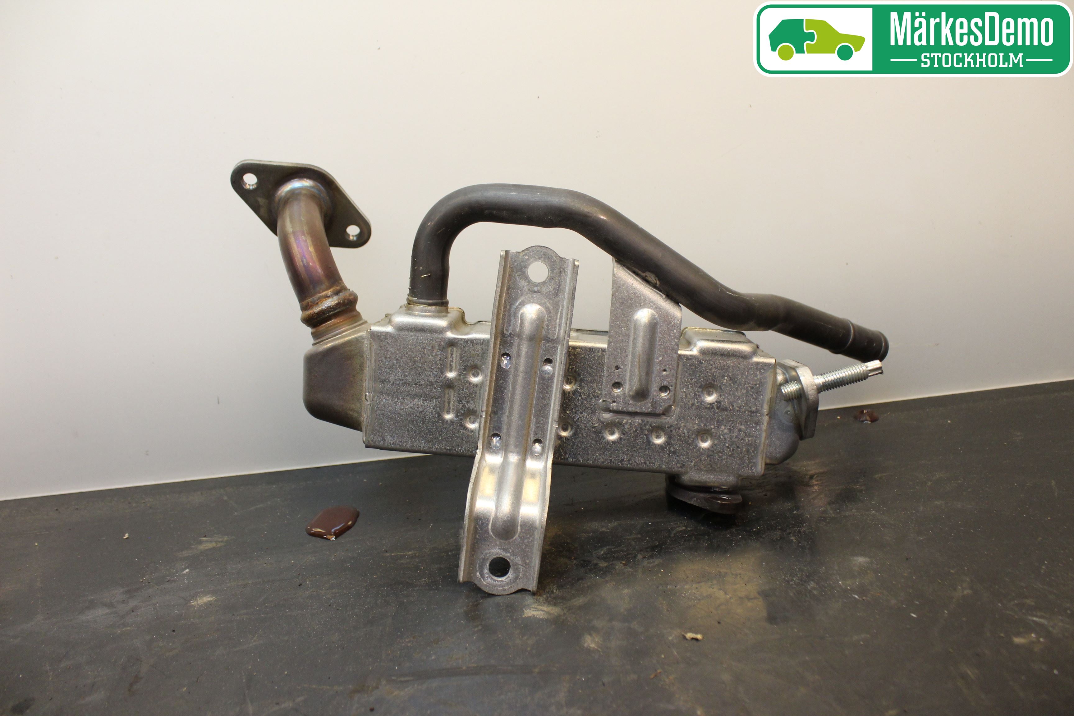 Lexus NX 300h 15-21 Avgaskylare