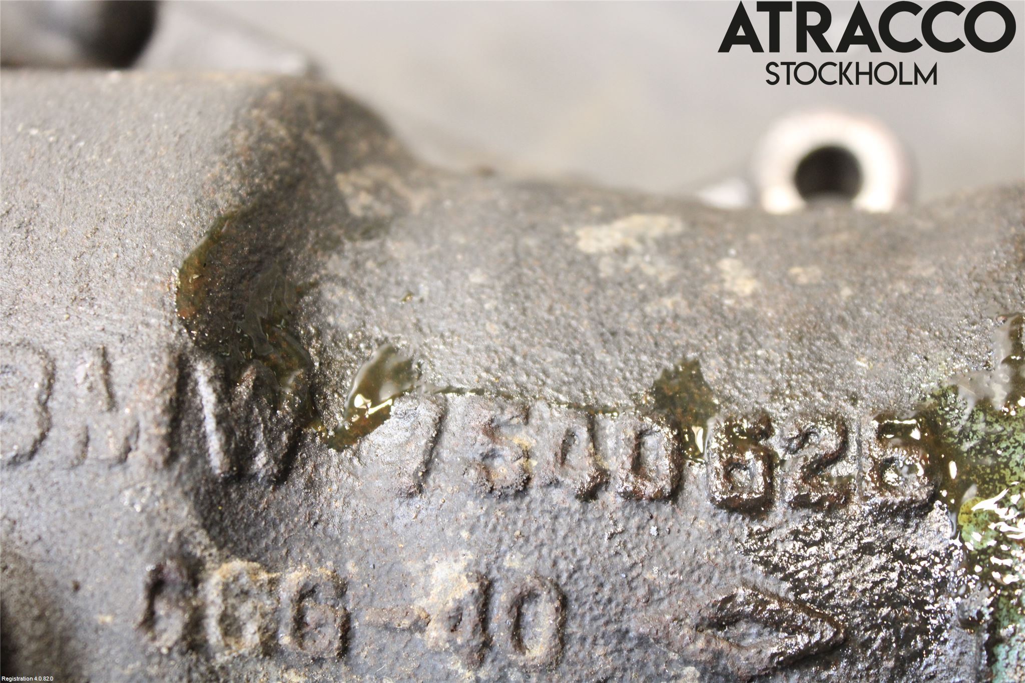 BMW X3 E83     03-10 Framvagn Diffrential