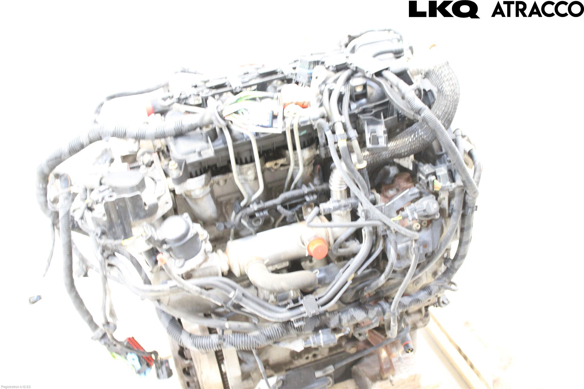 Ford FOCUS 08-11 Motor Diesel