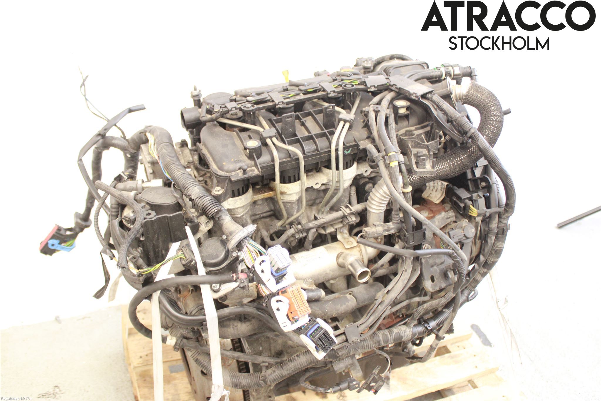 Ford FOCUS 08-11 Motor Diesel