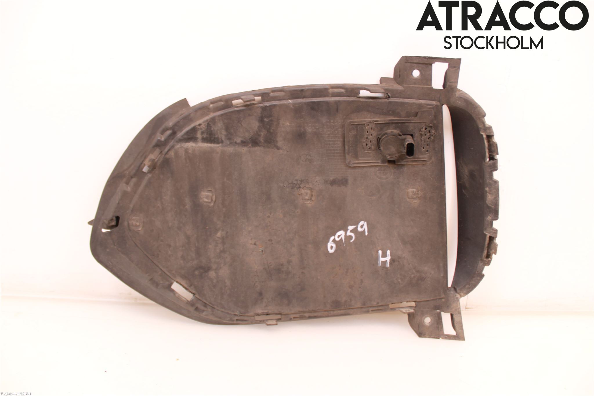 BMW X5 F15 13-18 Grill-Galler