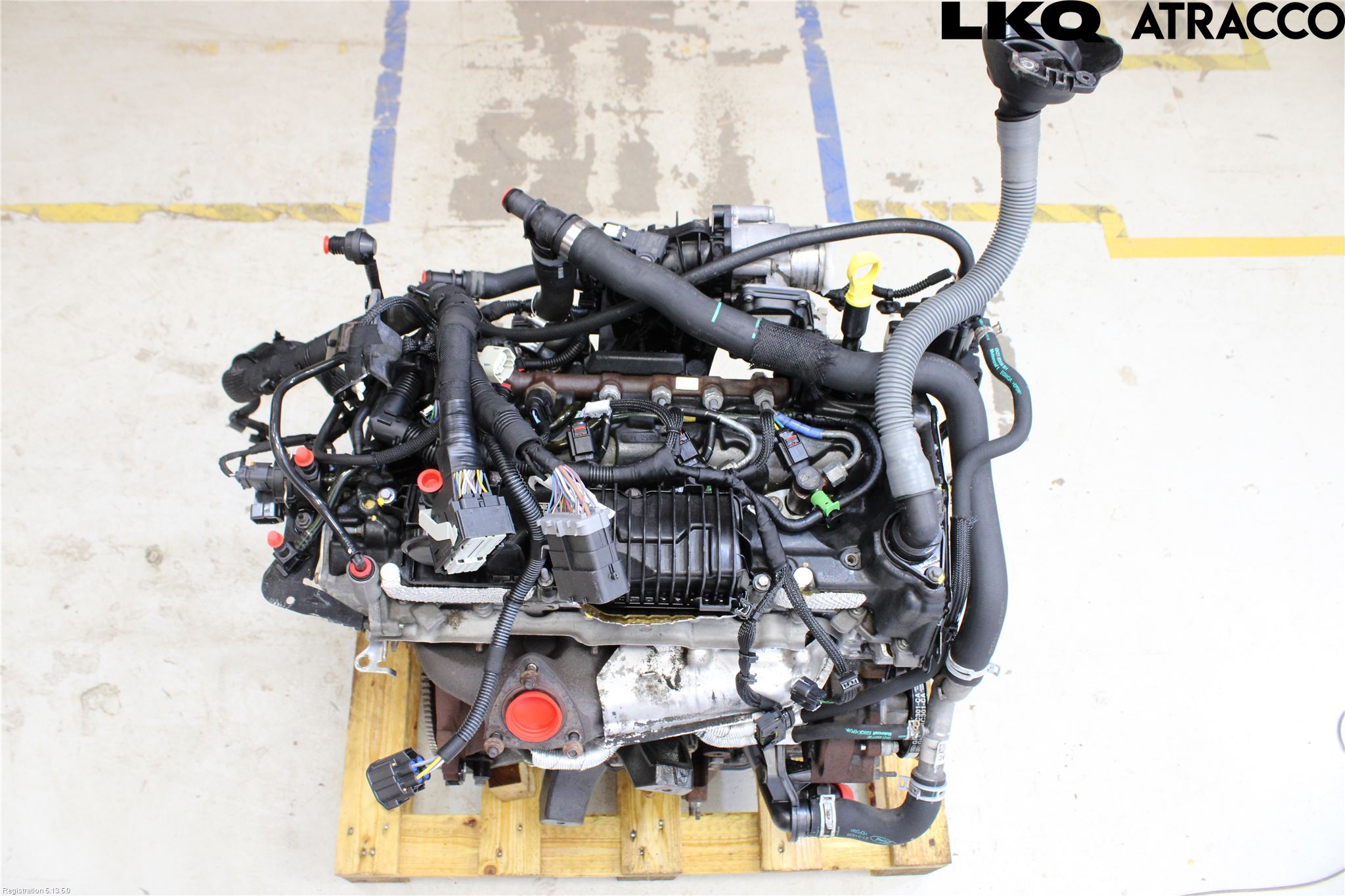 Ford TRANSIT/TOURNEO CUSTOM 13-24 Motor Diesel