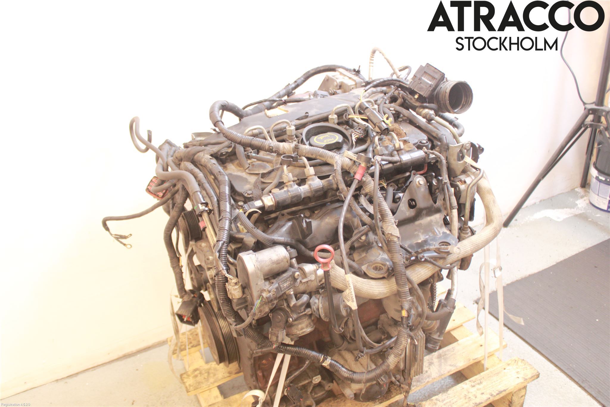 Jaguar X-TYPE Motor Diesel