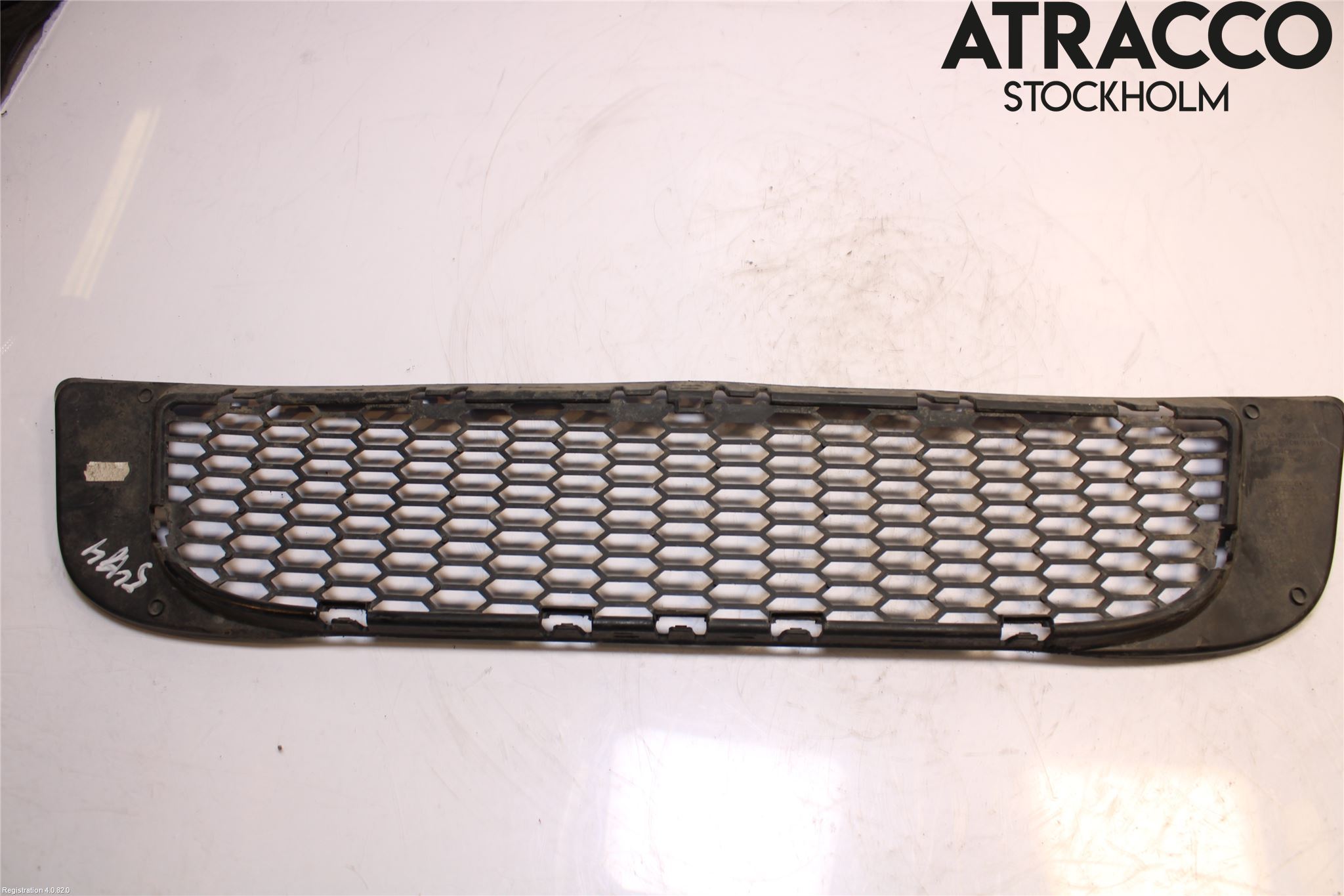 BMW X3 E83     03-10 Grill-Galler