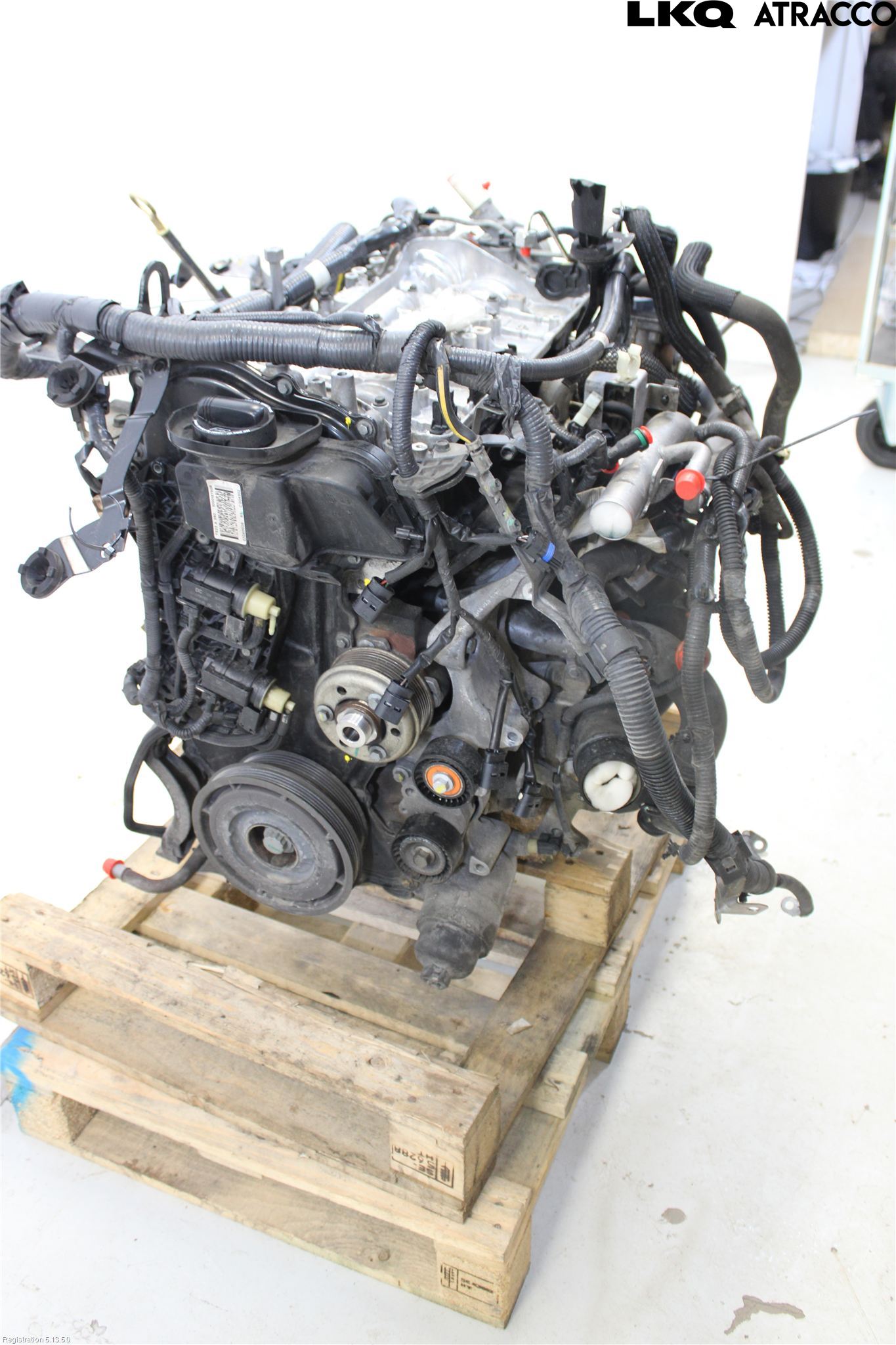 Nissan NAVARA 05-16 Motor Diesel