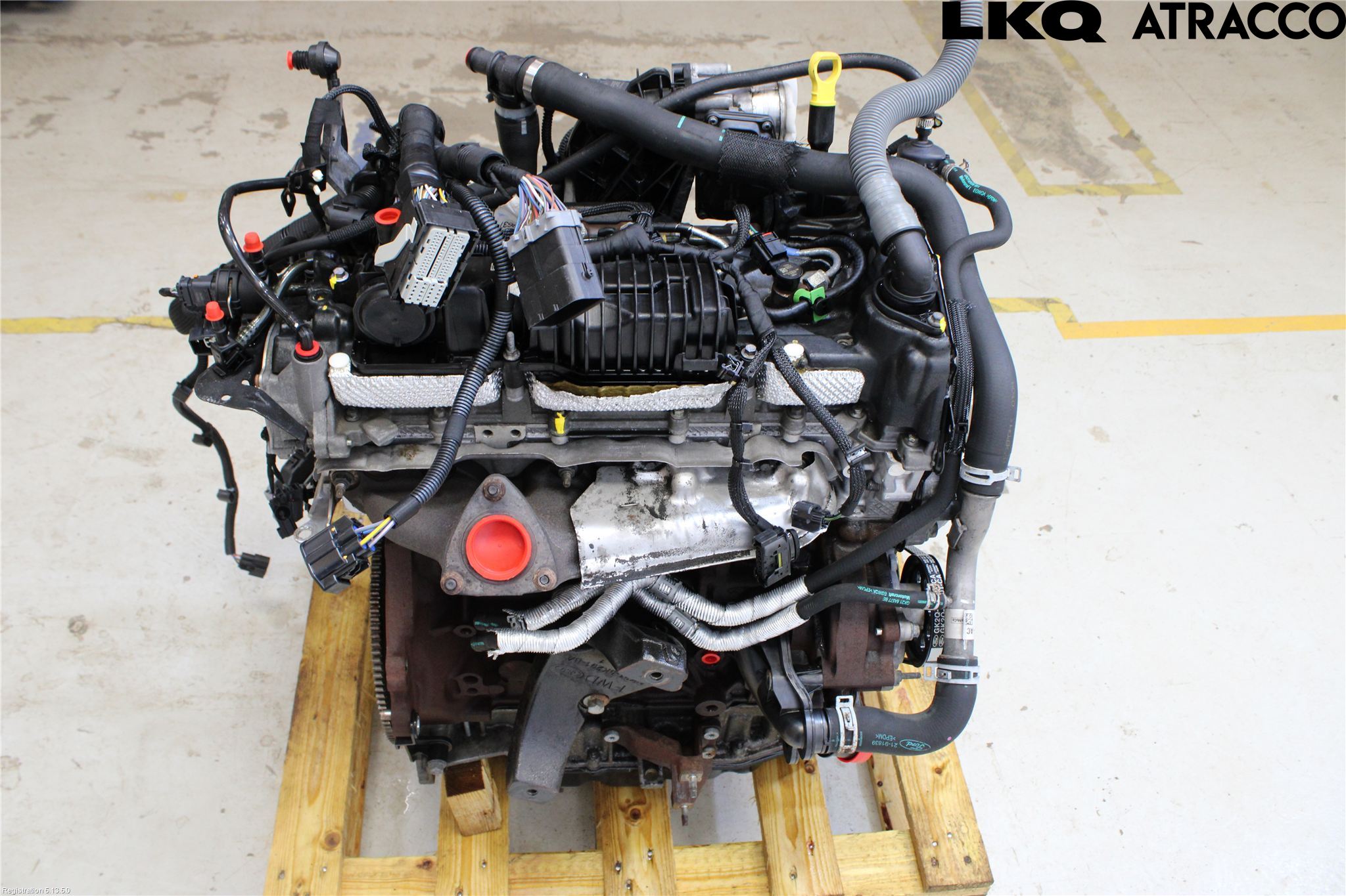 Ford TRANSIT/TOURNEO CUSTOM 13-24 Motor Diesel