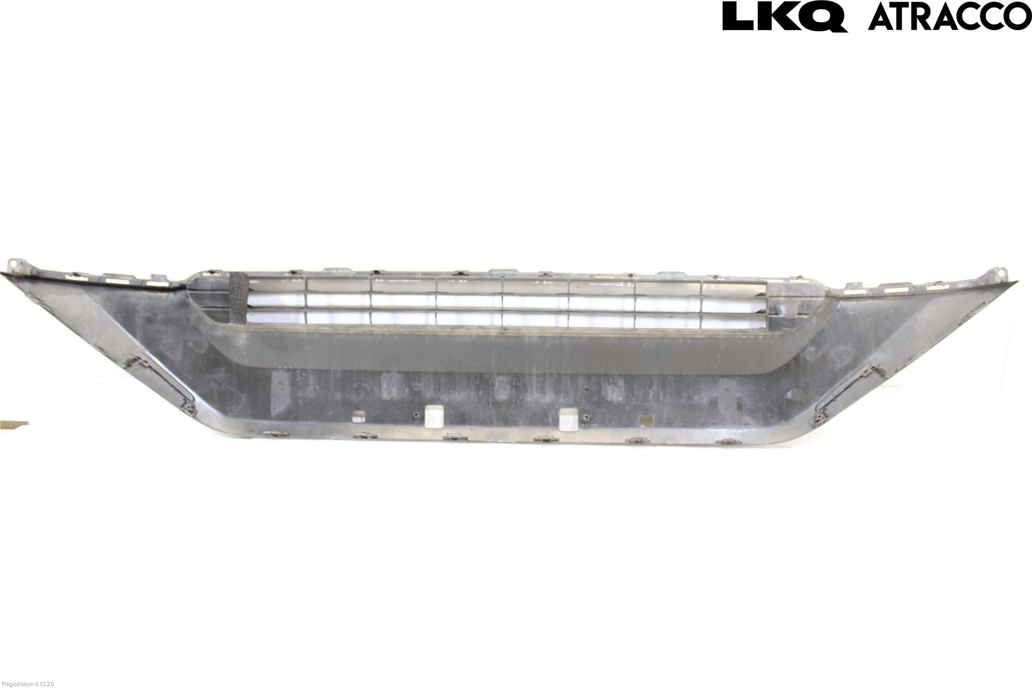 Toyota RAV4 19- Grill-Galler